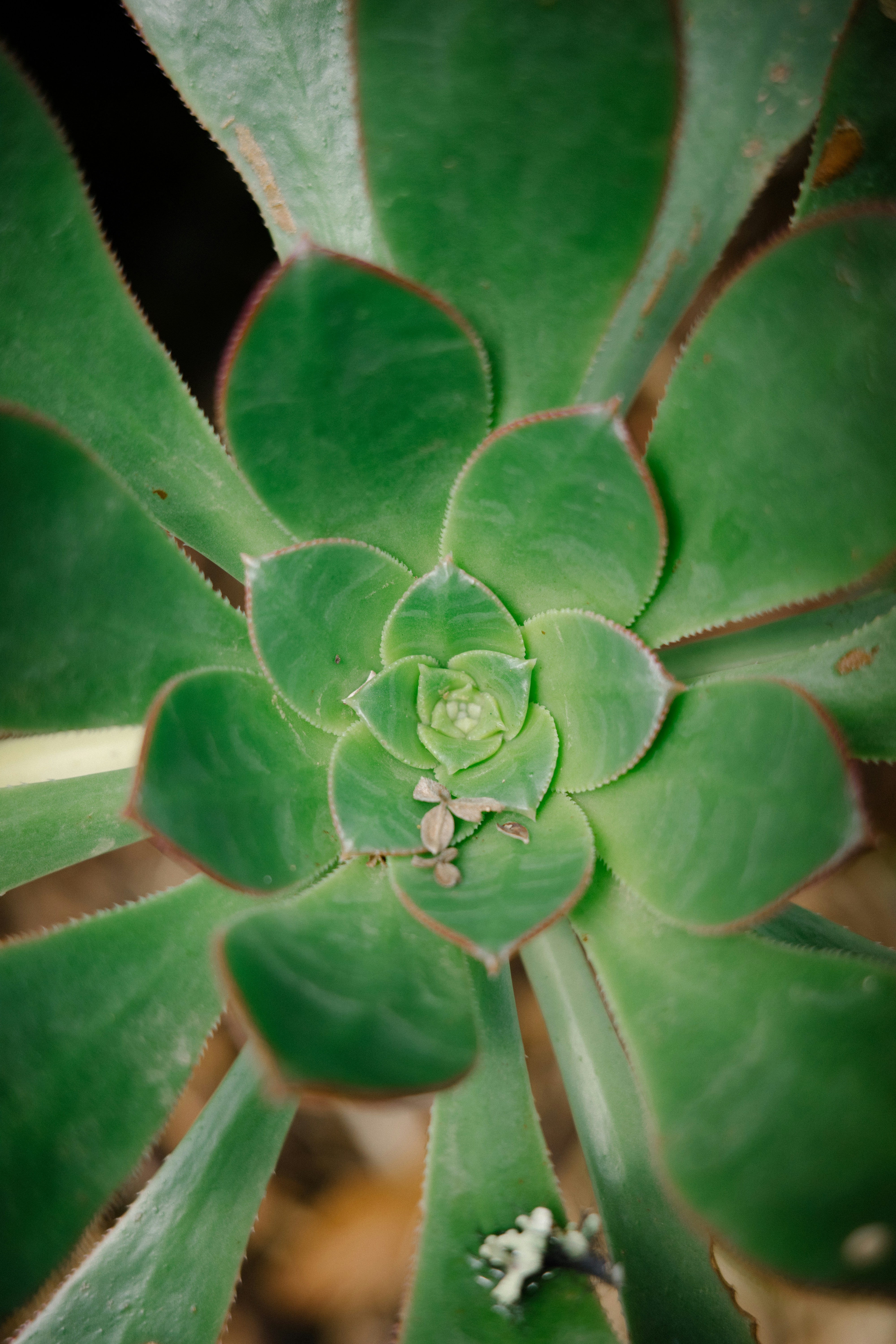 Photo by antonkhmelnitsky