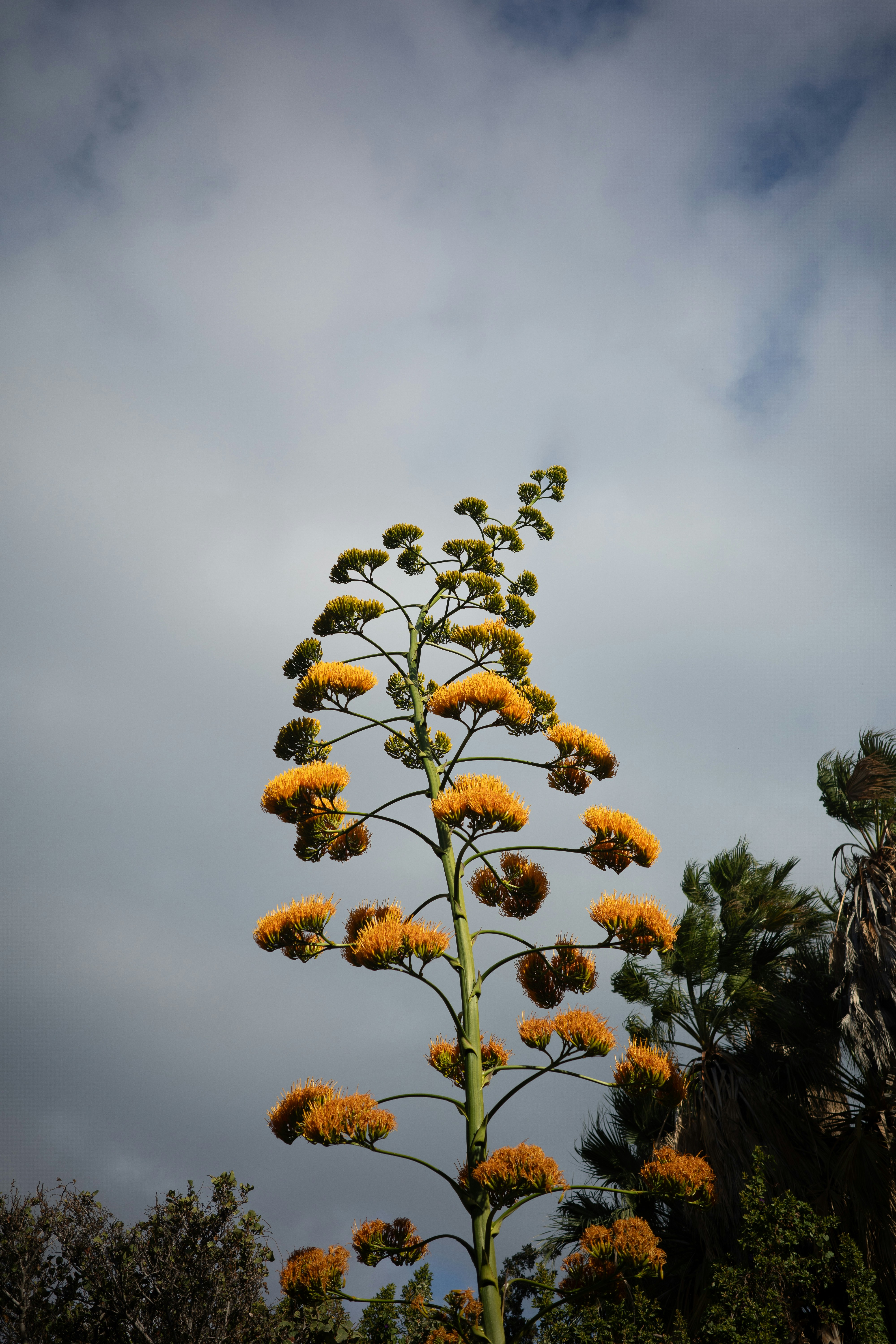 Photo by antonkhmelnitsky