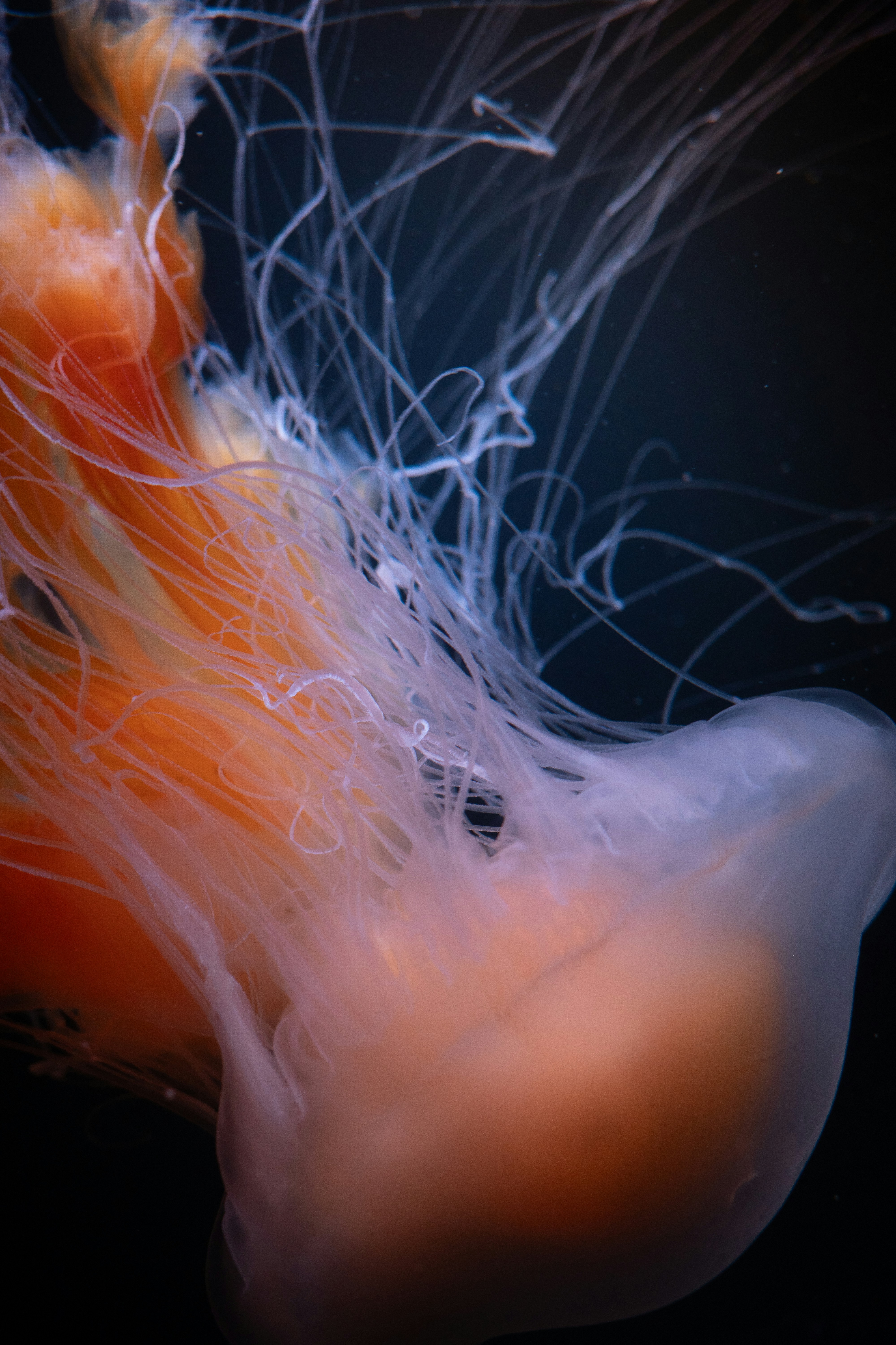 Photo by antonkhmelnitsky