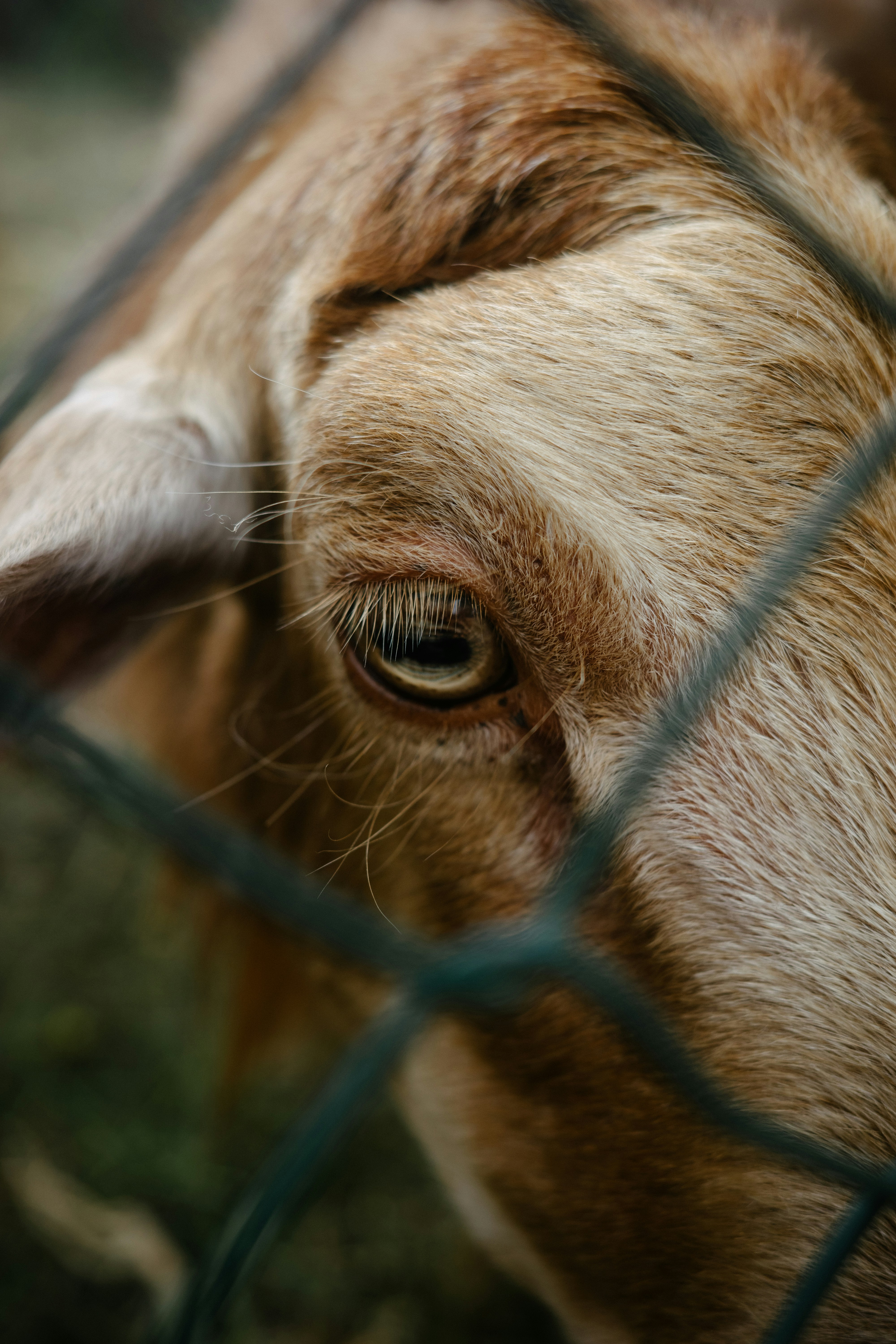 Photo by antonkhmelnitsky