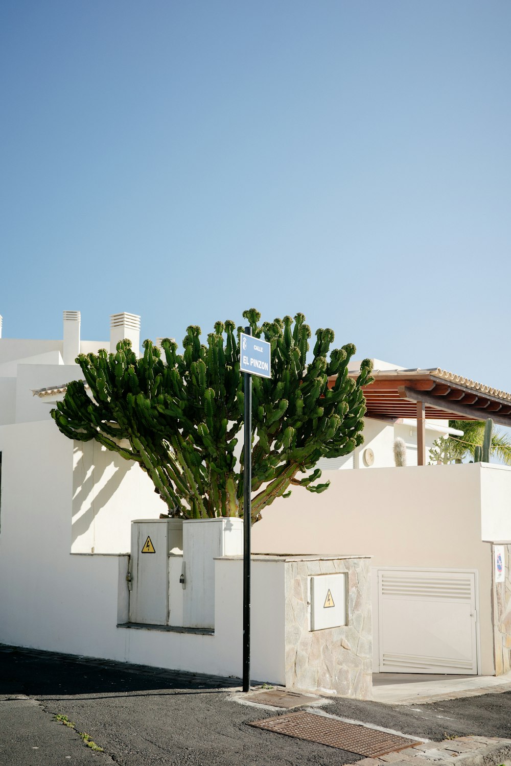 a white building with a tree in front of it