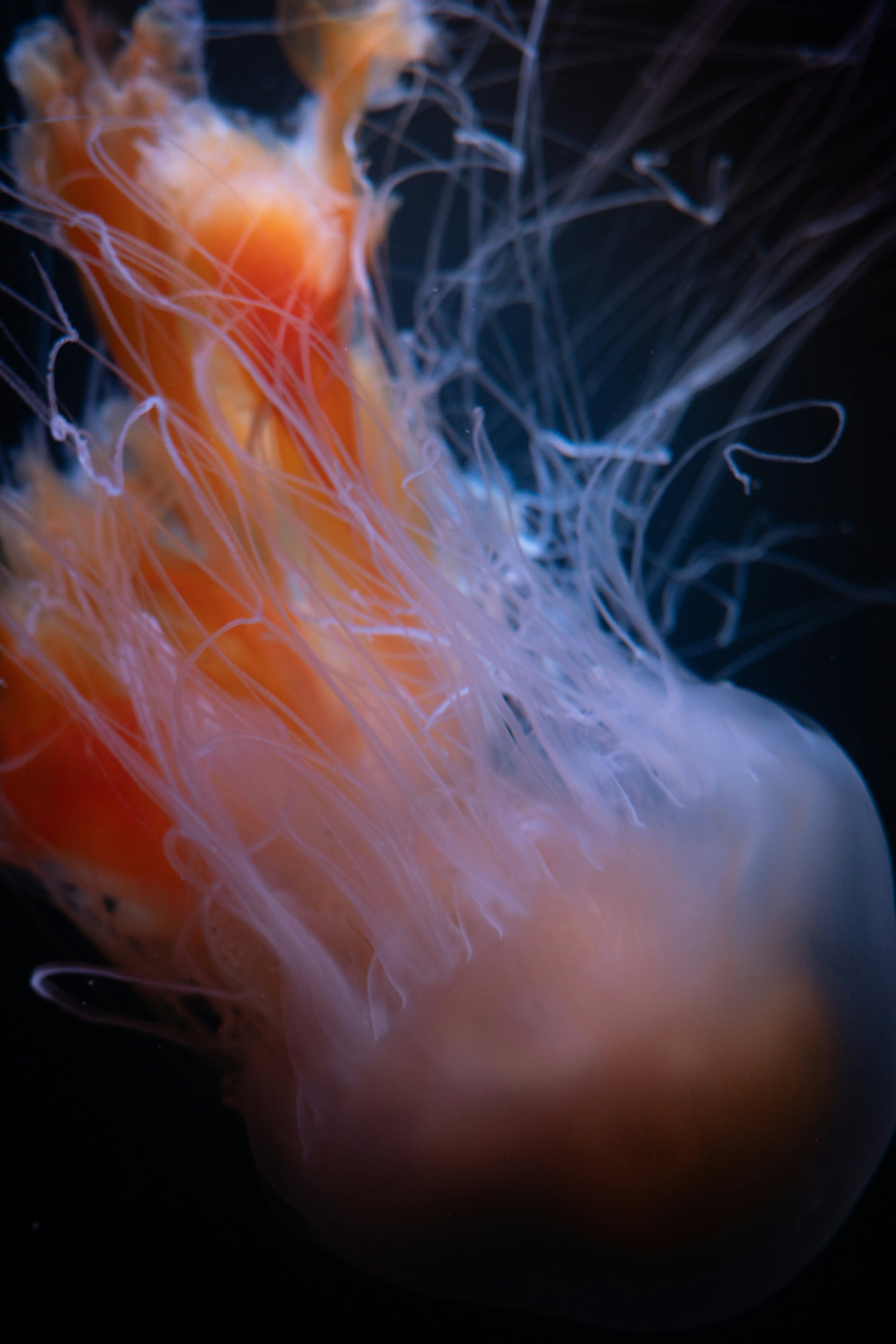 Photo by antonkhmelnitsky