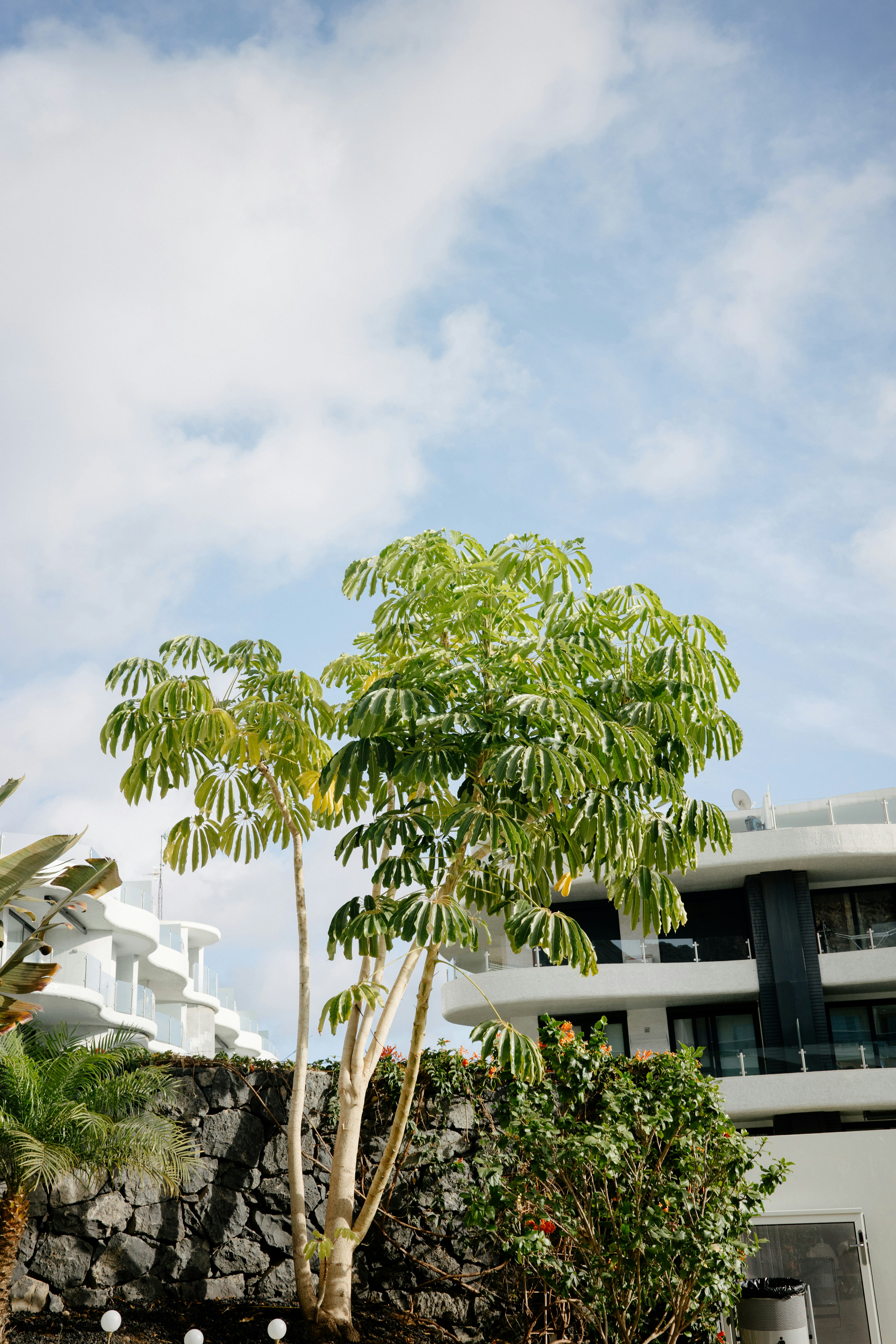 Photo by antonkhmelnitsky