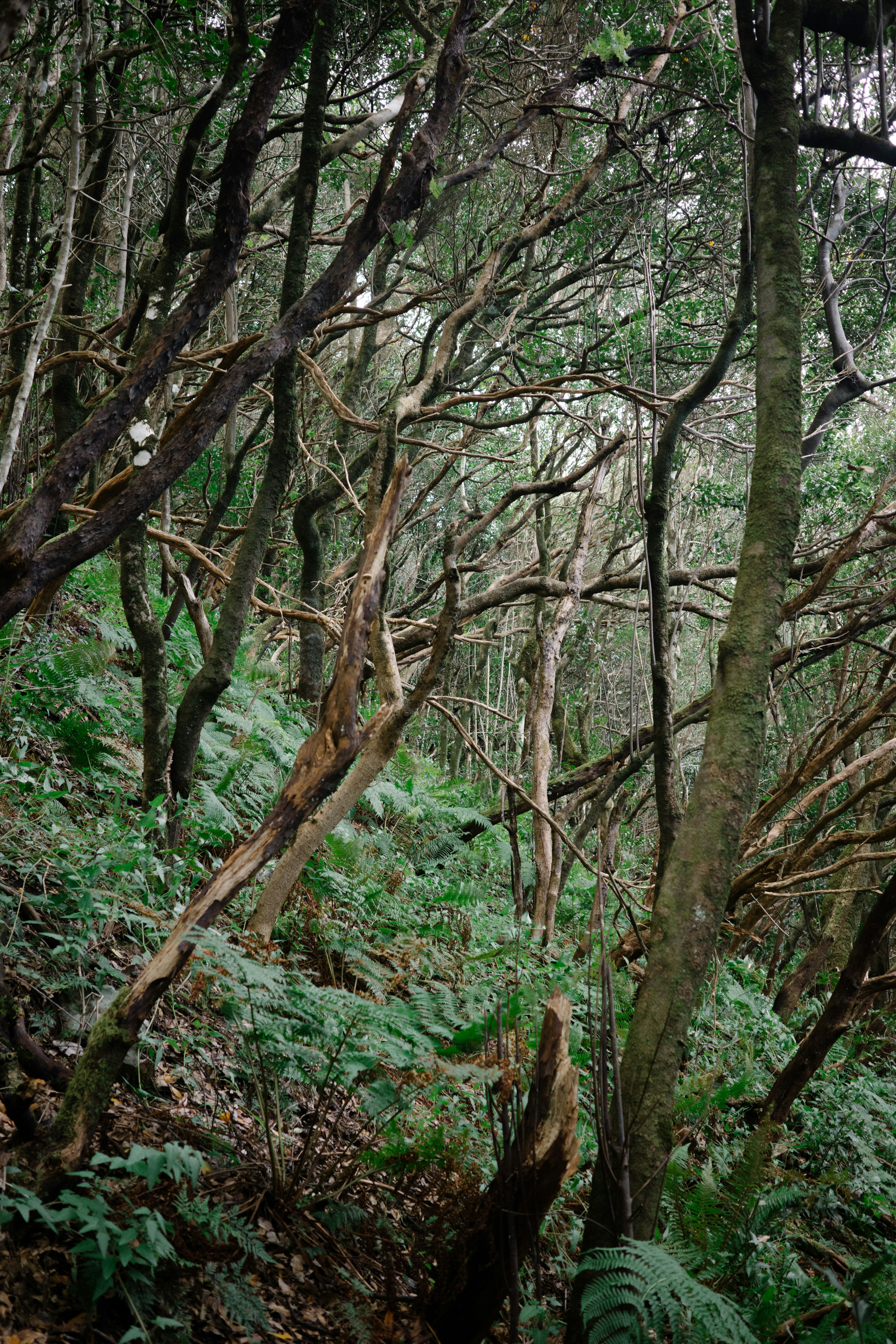 Photo by antonkhmelnitsky