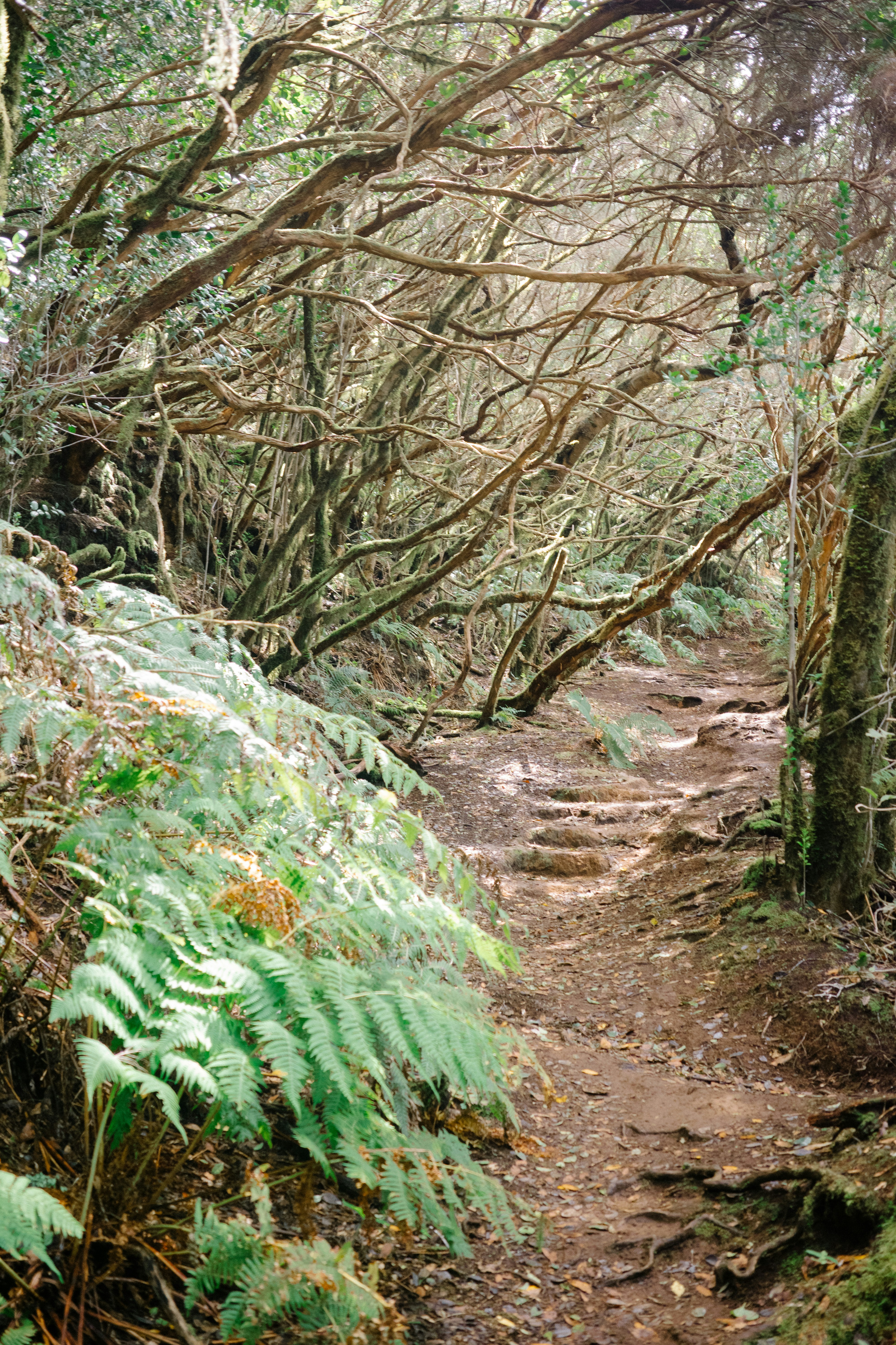 Photo by antonkhmelnitsky