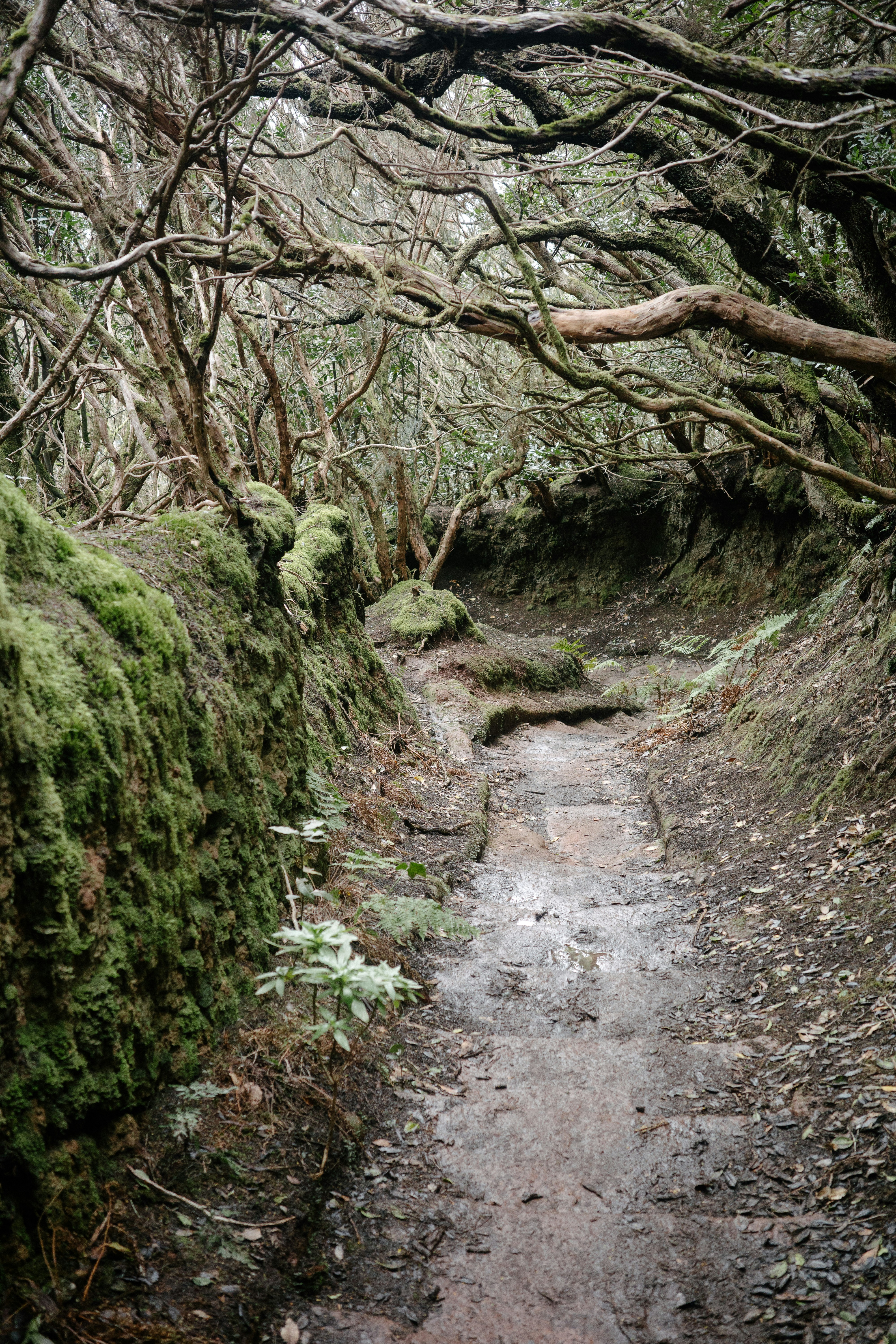 Photo by antonkhmelnitsky