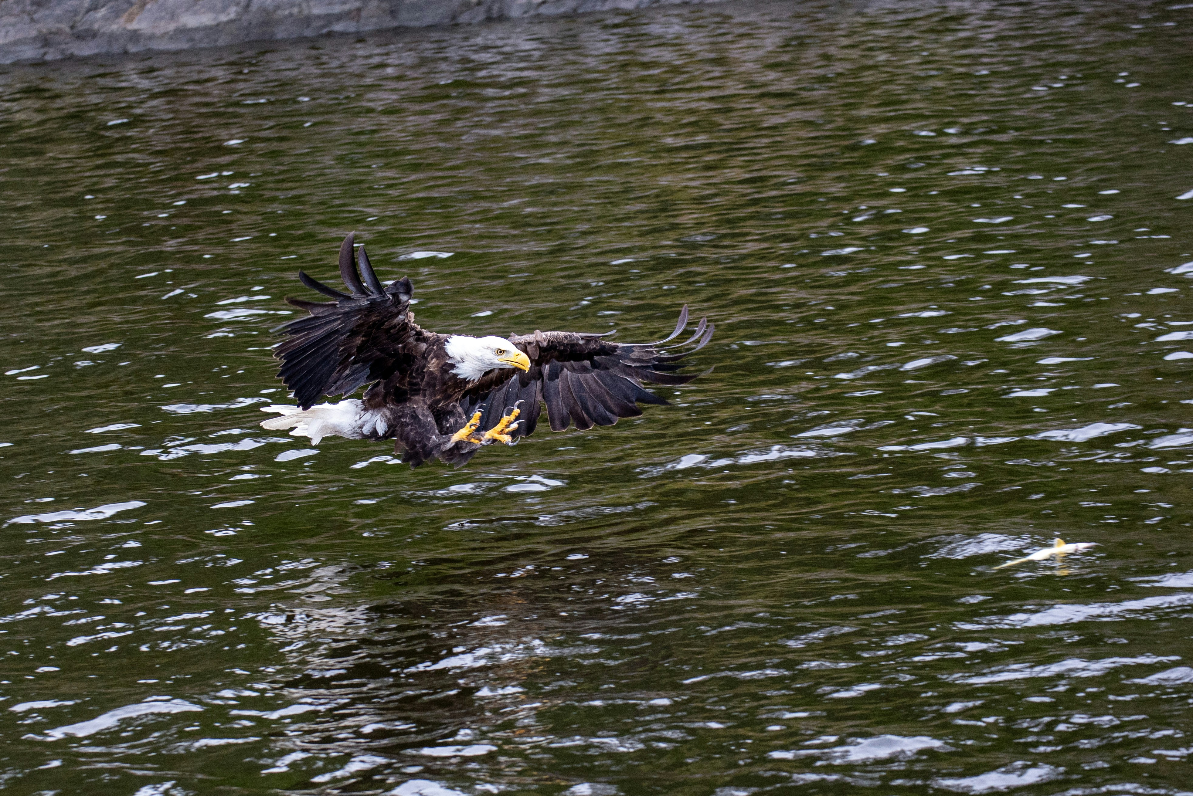 Photo by ad_sportfotograf