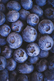 a close up of blueberries with water droplets on them