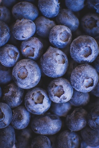 a close up of blueberries with water droplets on them