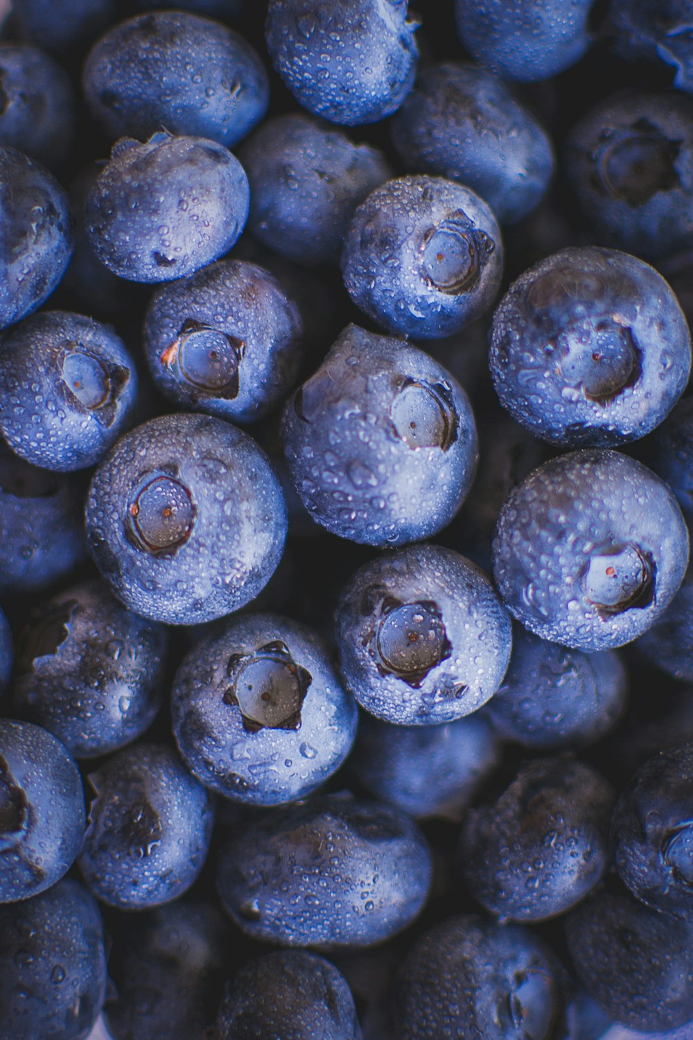 a close up of blueberries with water droplets on them
