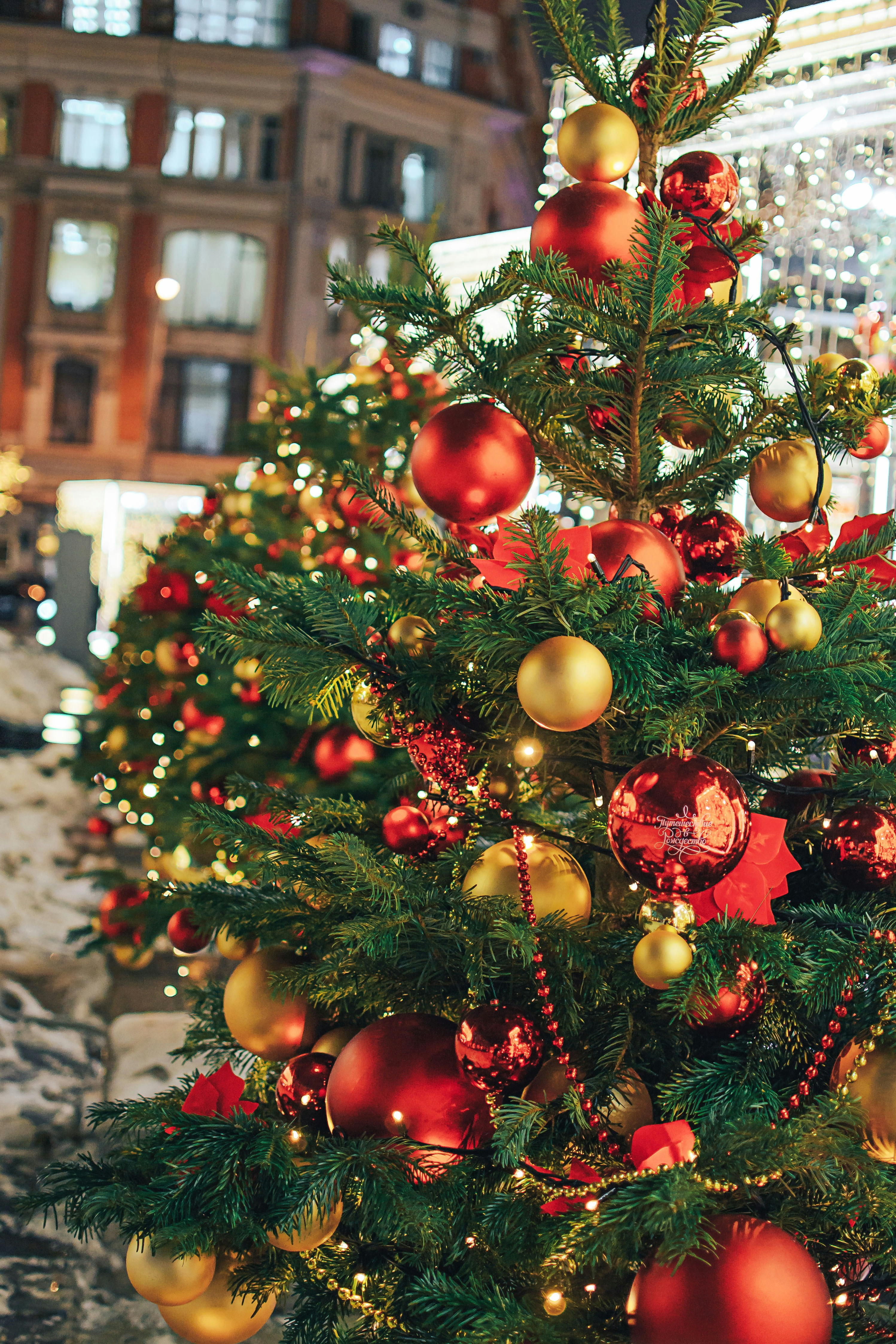 Elevate Your Events with Balloons