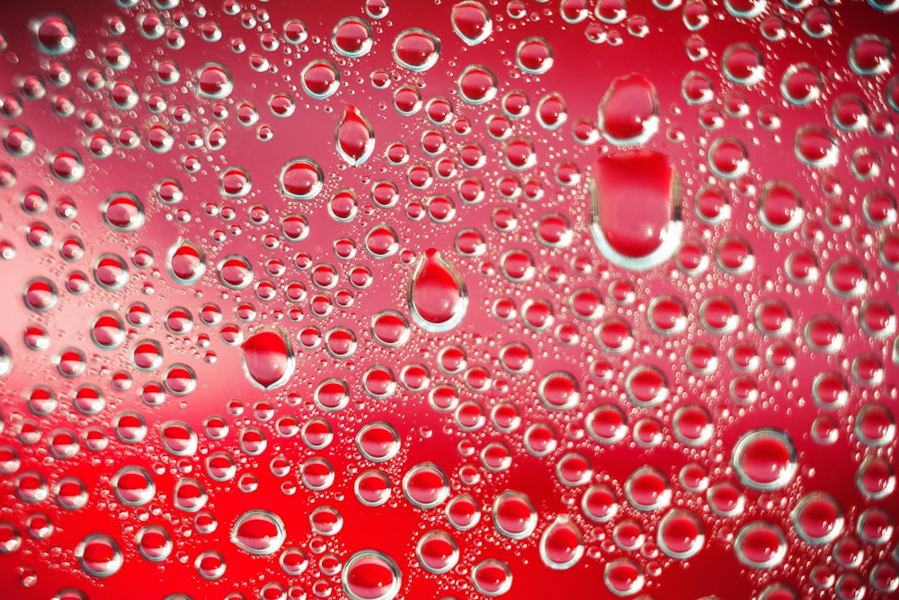 a close up of water droplets on a red background