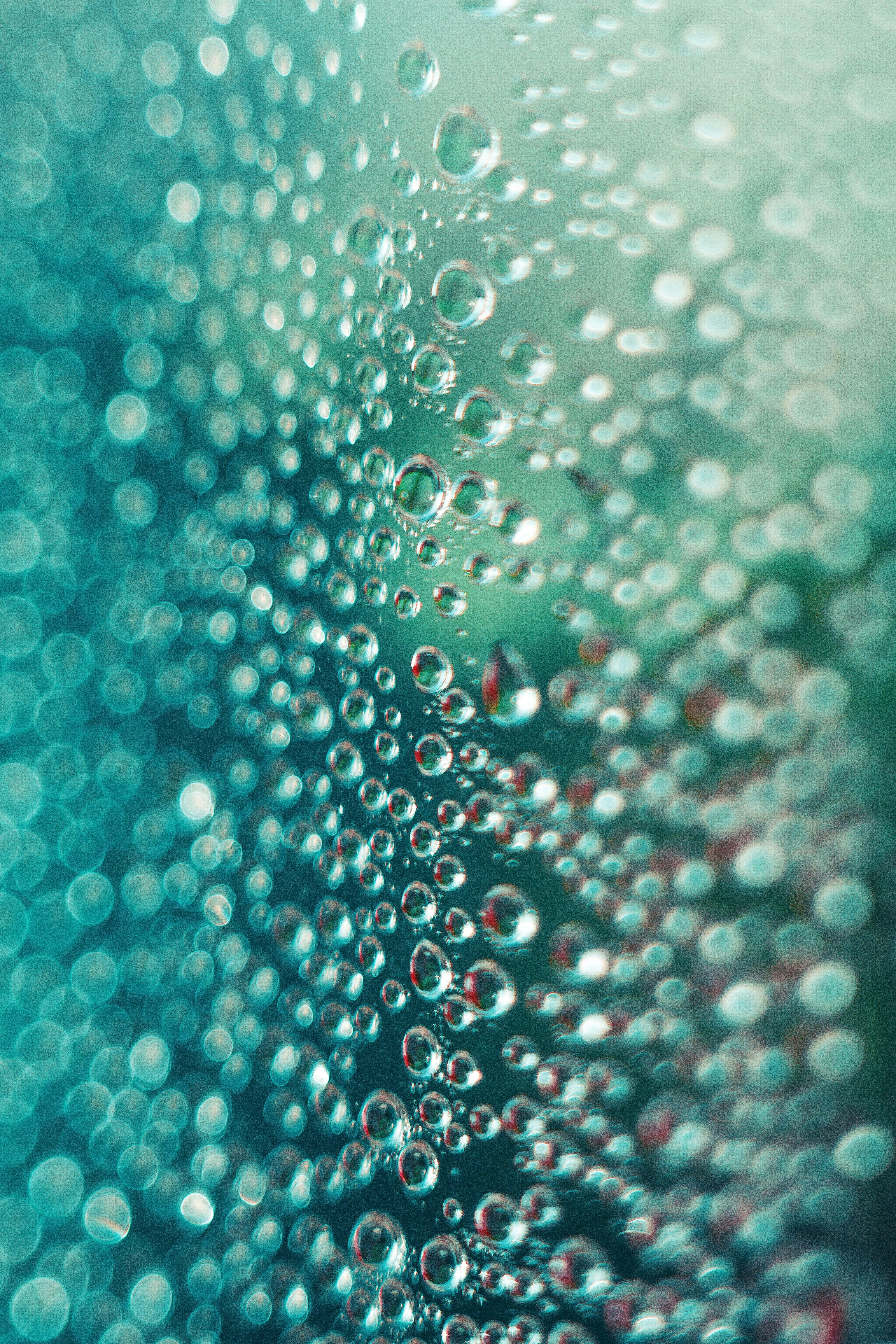 Photo by yura_batiushyn