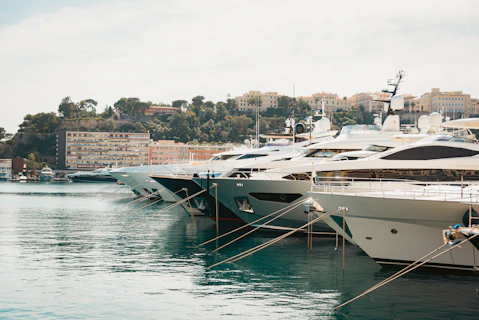 a bunch of boats are docked in the water