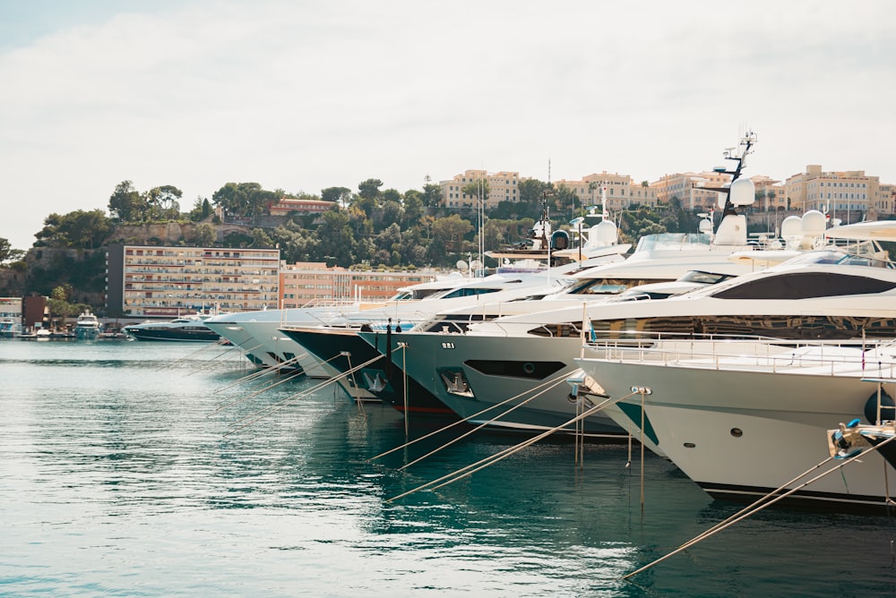 a bunch of boats are docked in the water