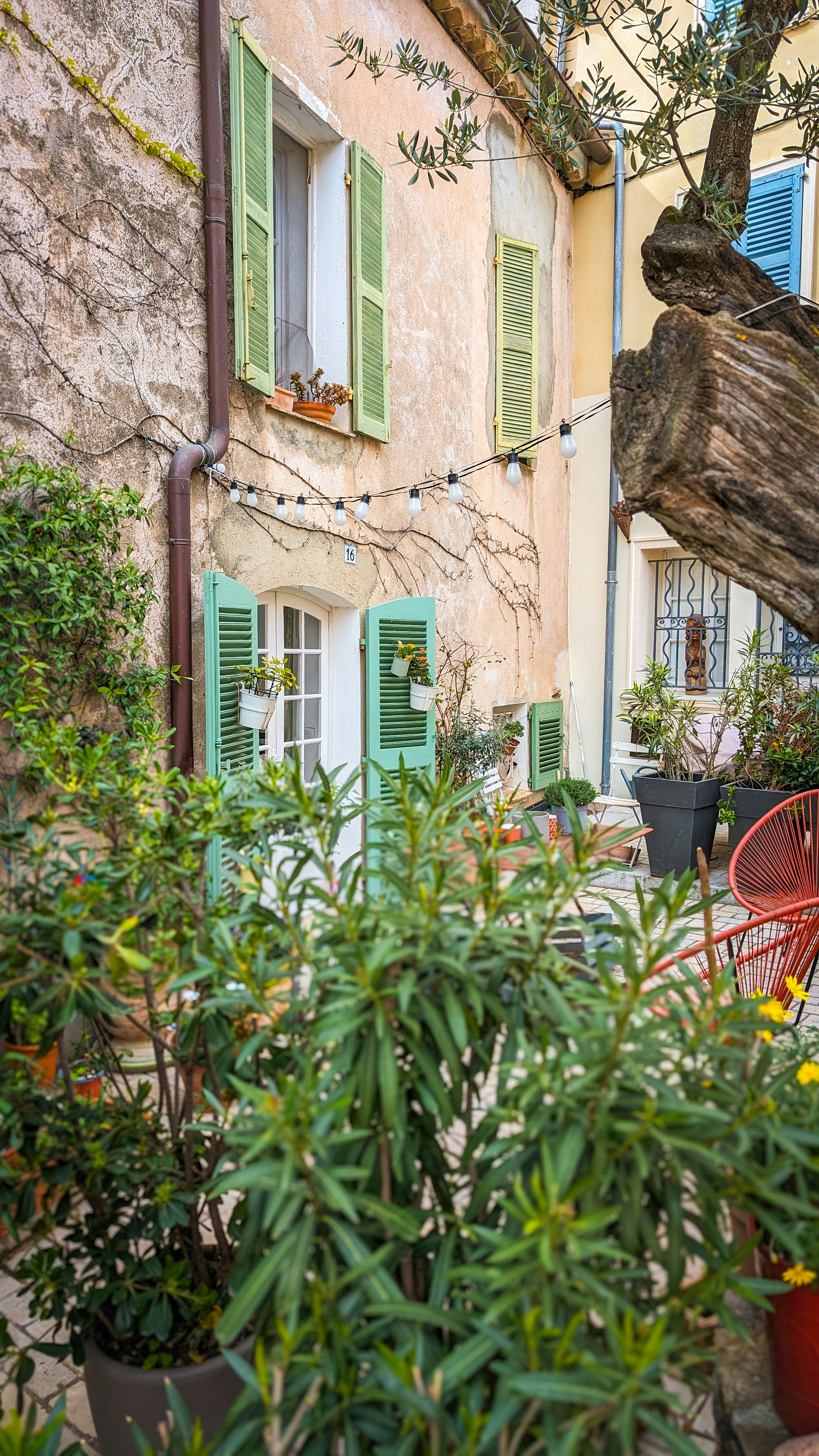 a red chair sitting in a garden next to a tree