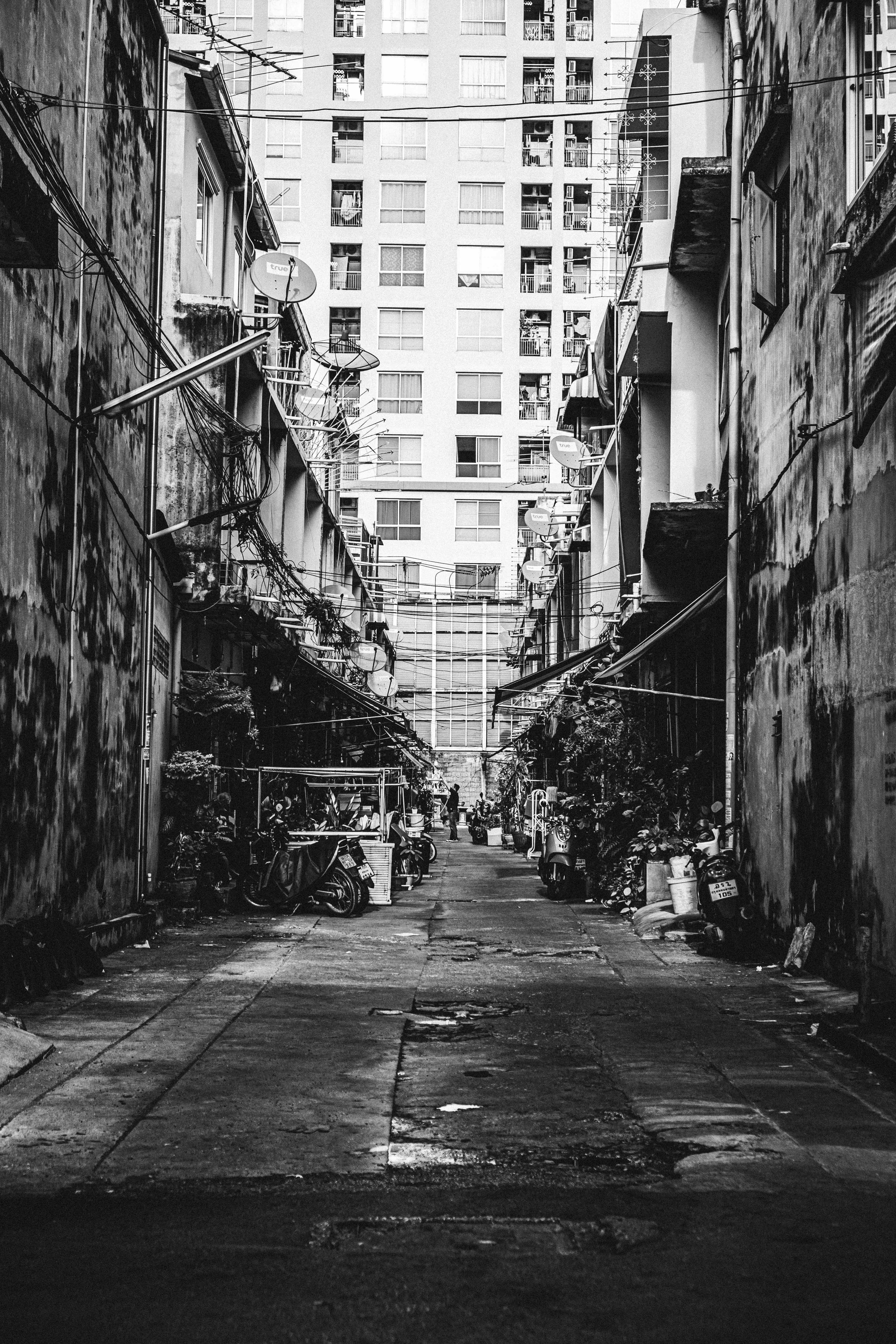 Photo by yoal_desurmont