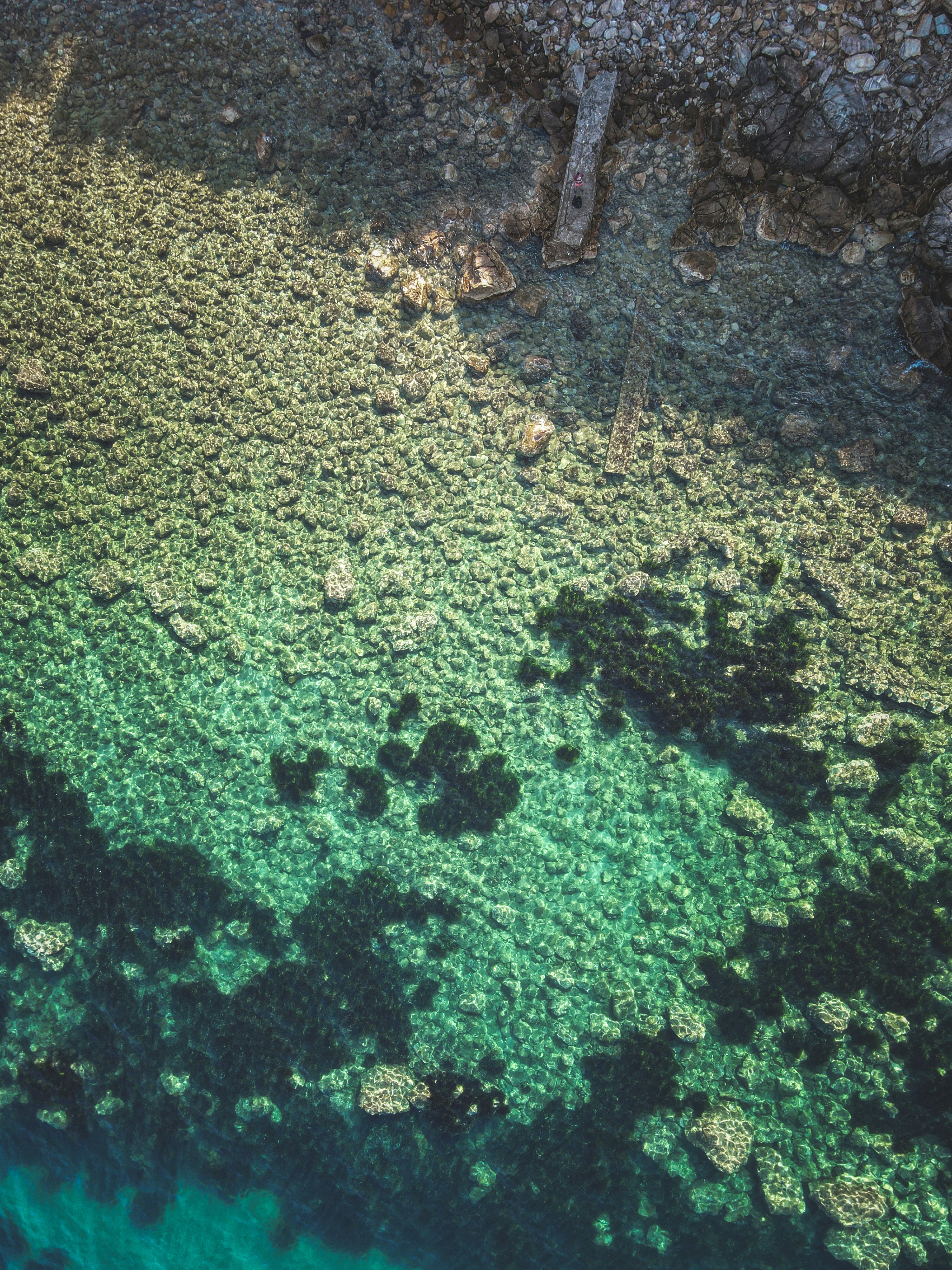 Photo by francesco_ungaro