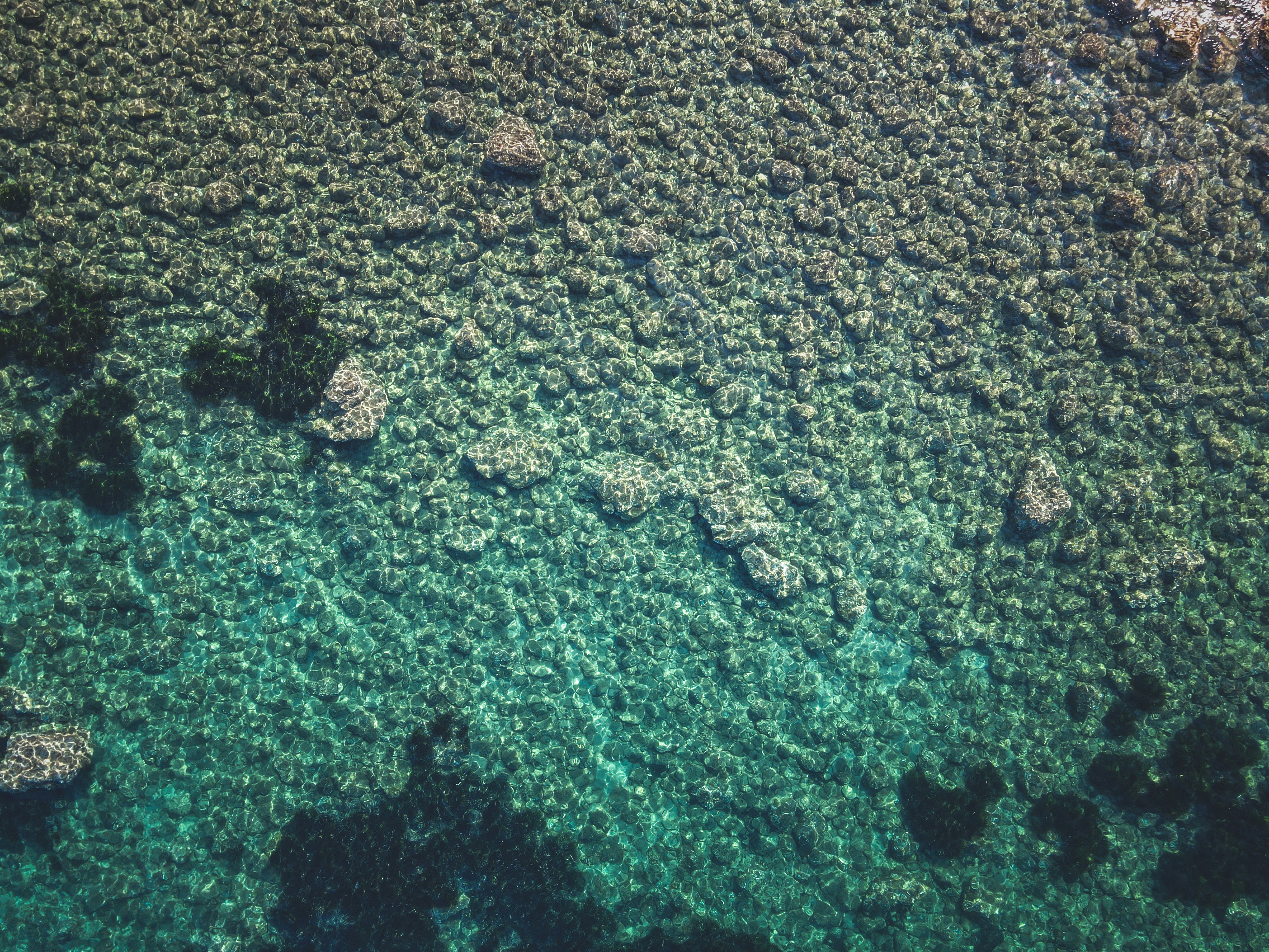 Photo by francesco_ungaro