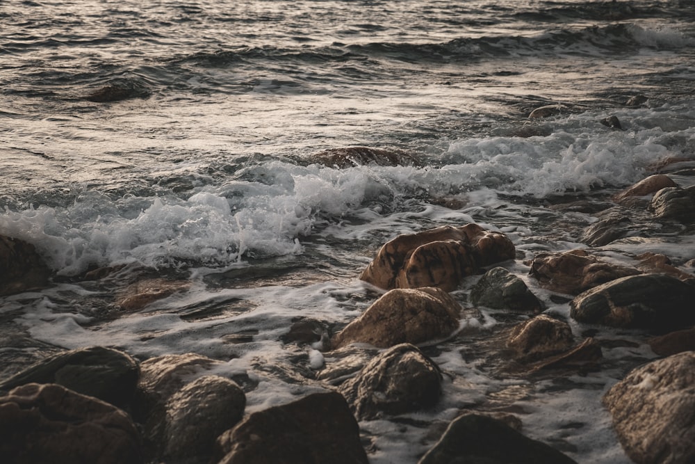 a body of water next to a rocky shore