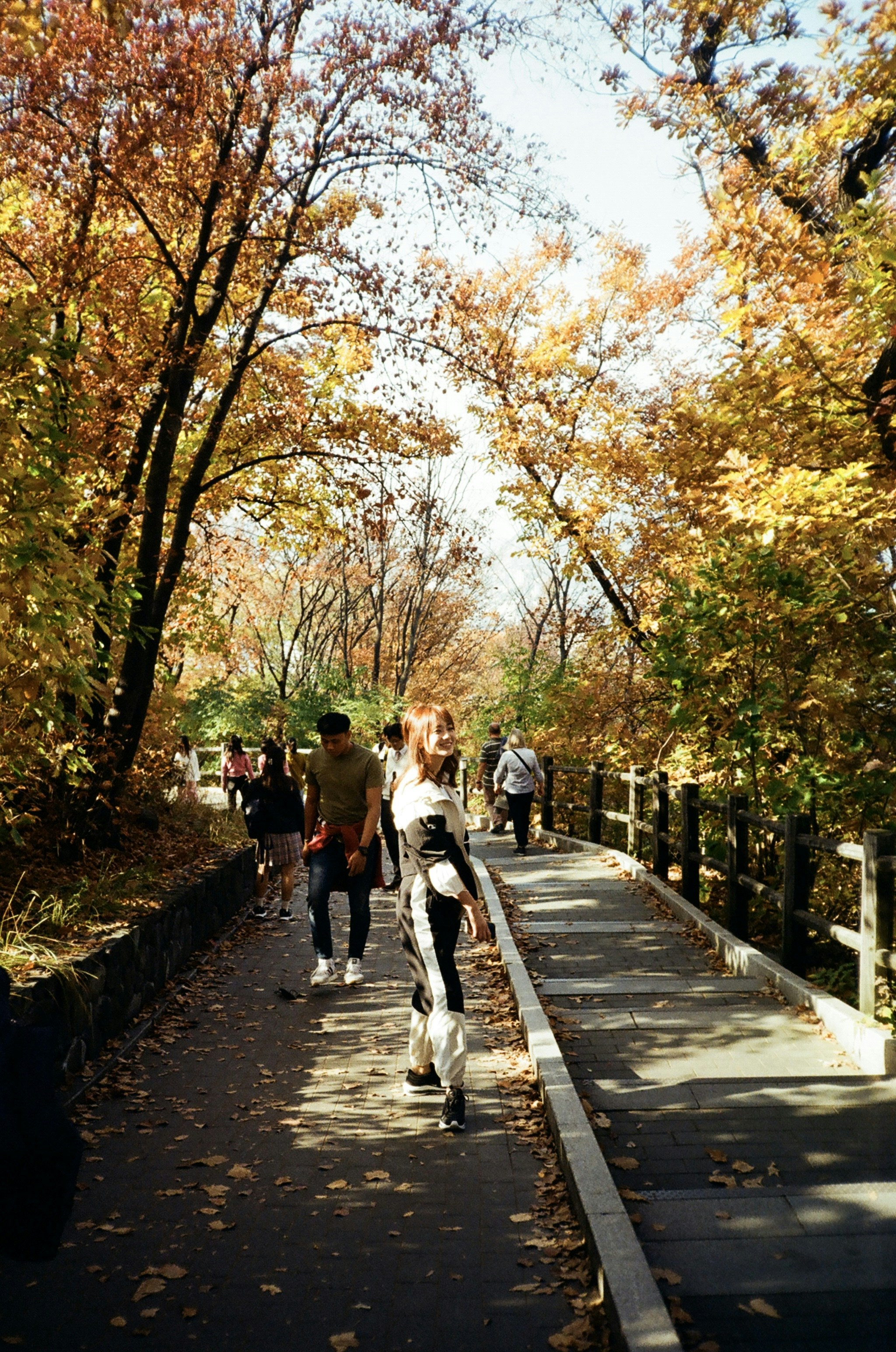A group of people walking down a path in a park photo – Free Path Image ...