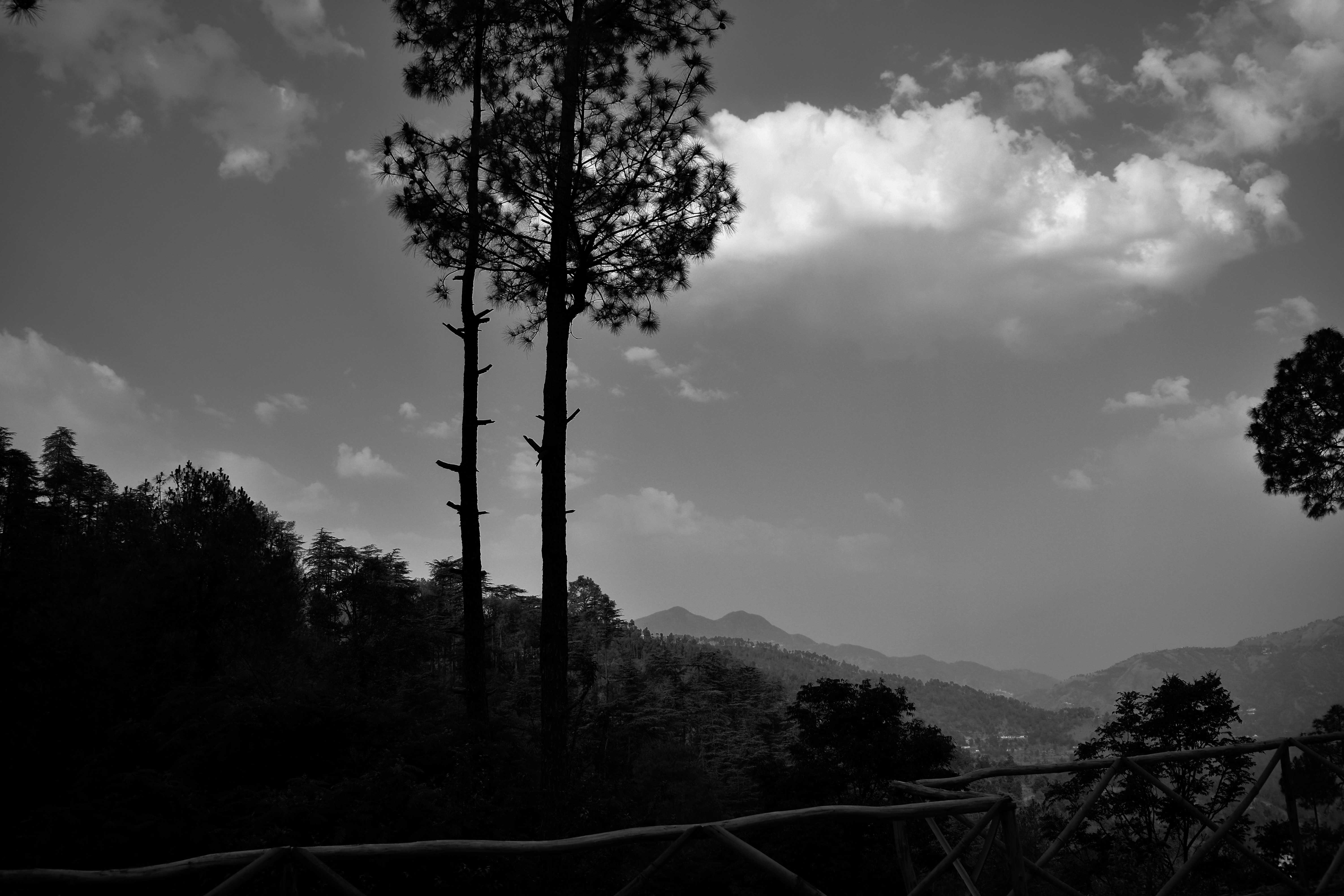 Photo by neelakshi_singh_