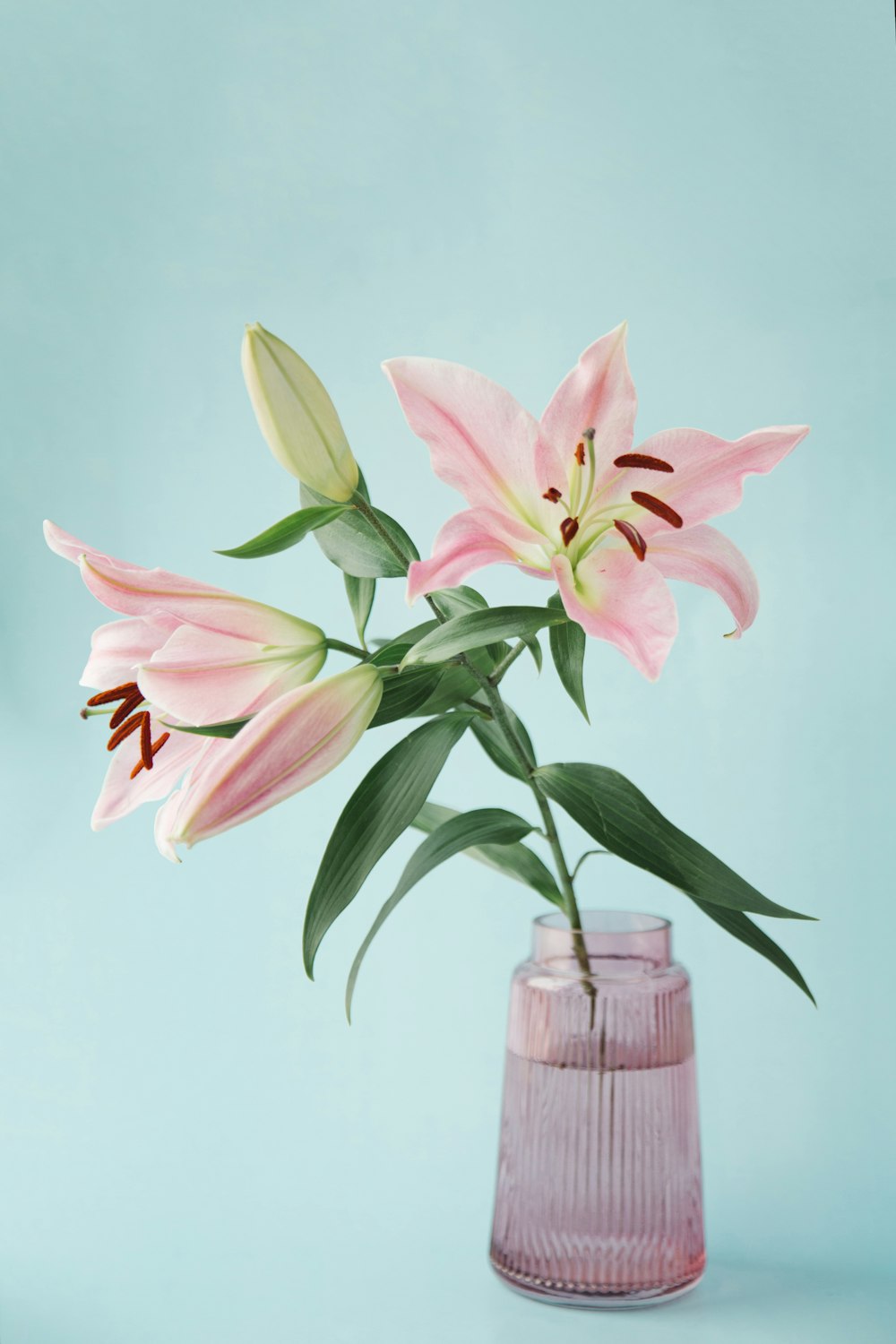 a pink vase filled with pink flowers on top of a table