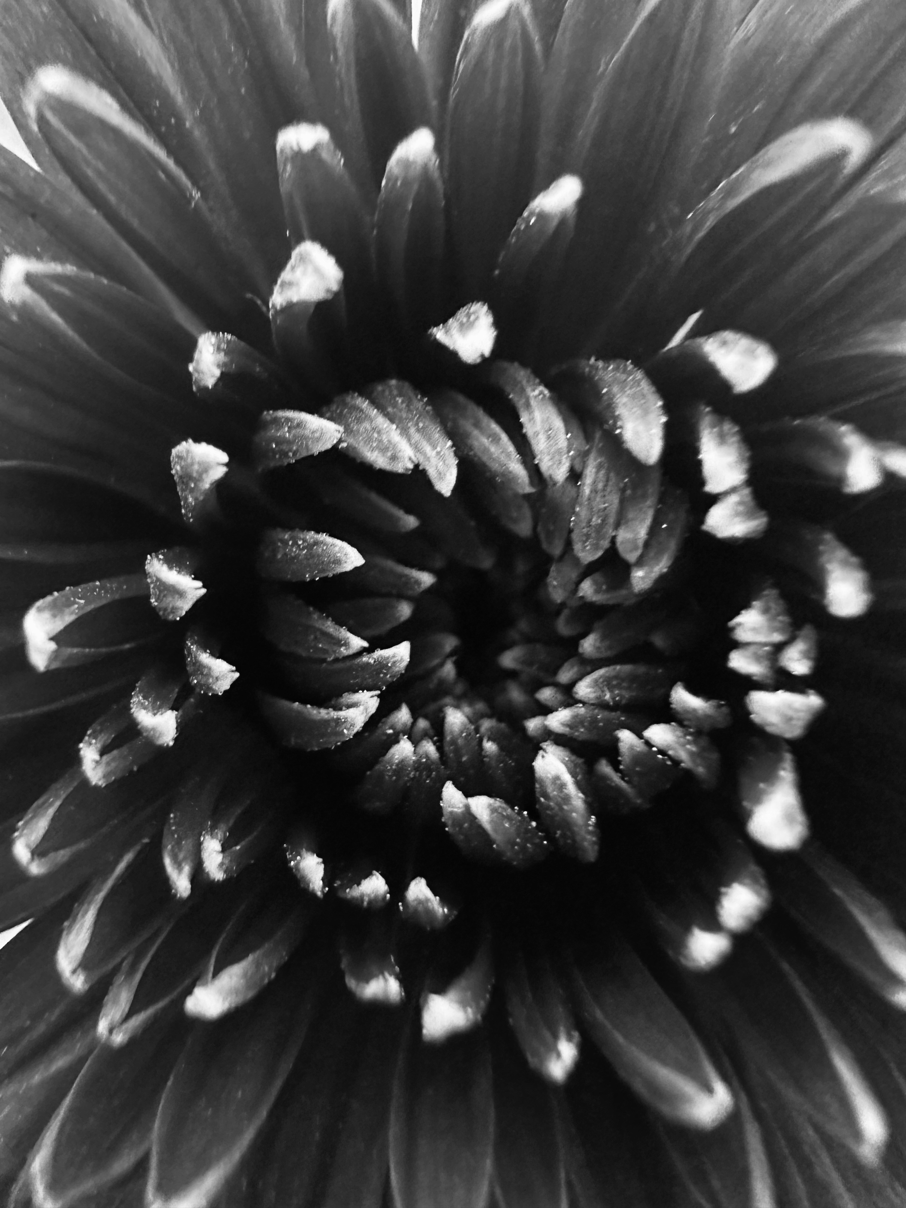 Photo by neelakshi_singh_