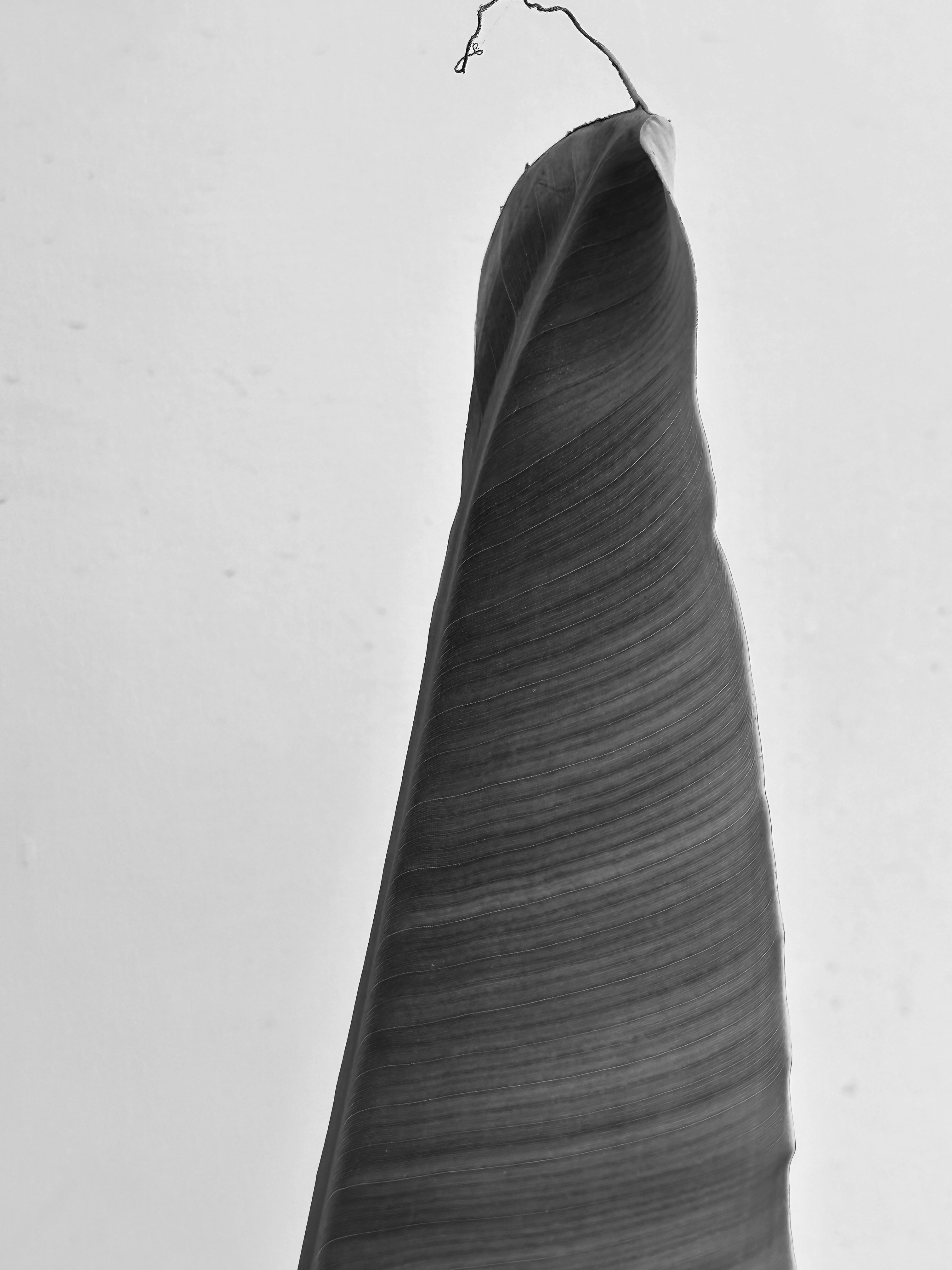 Photo by neelakshi_singh_