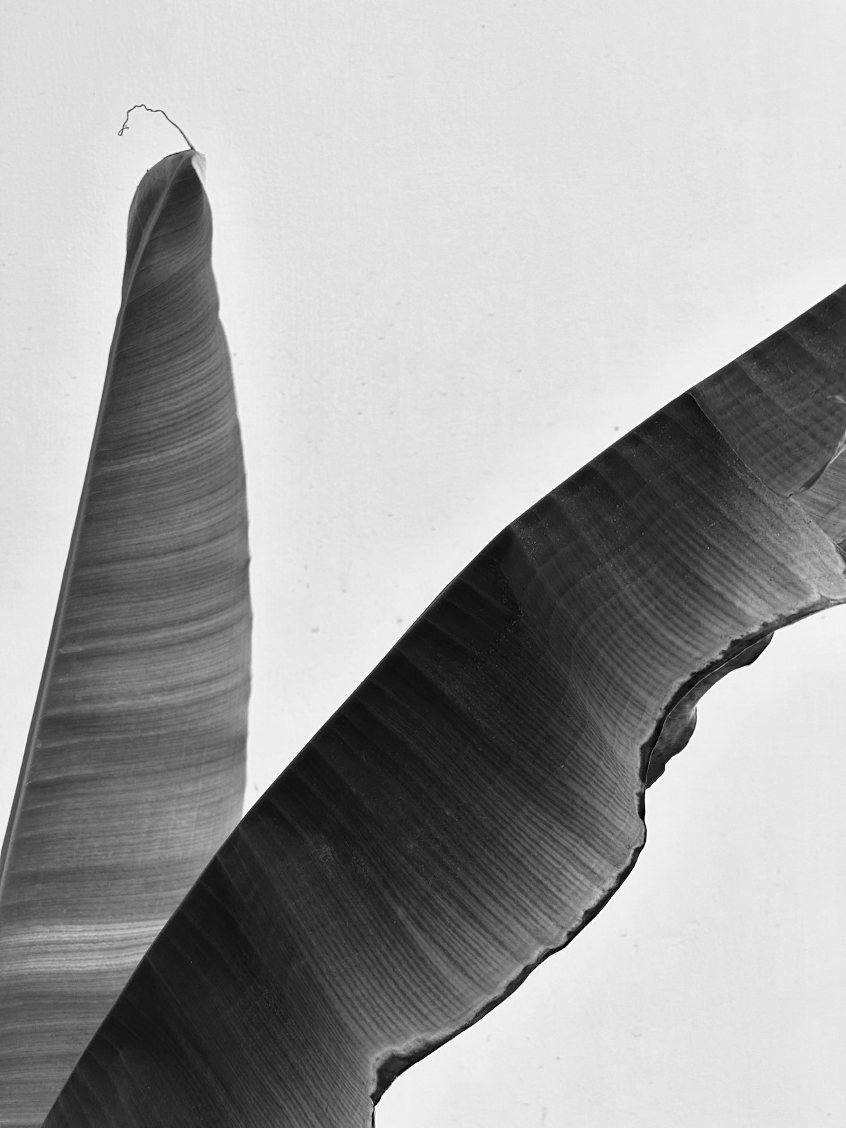 Industrial blueprints and steel texture