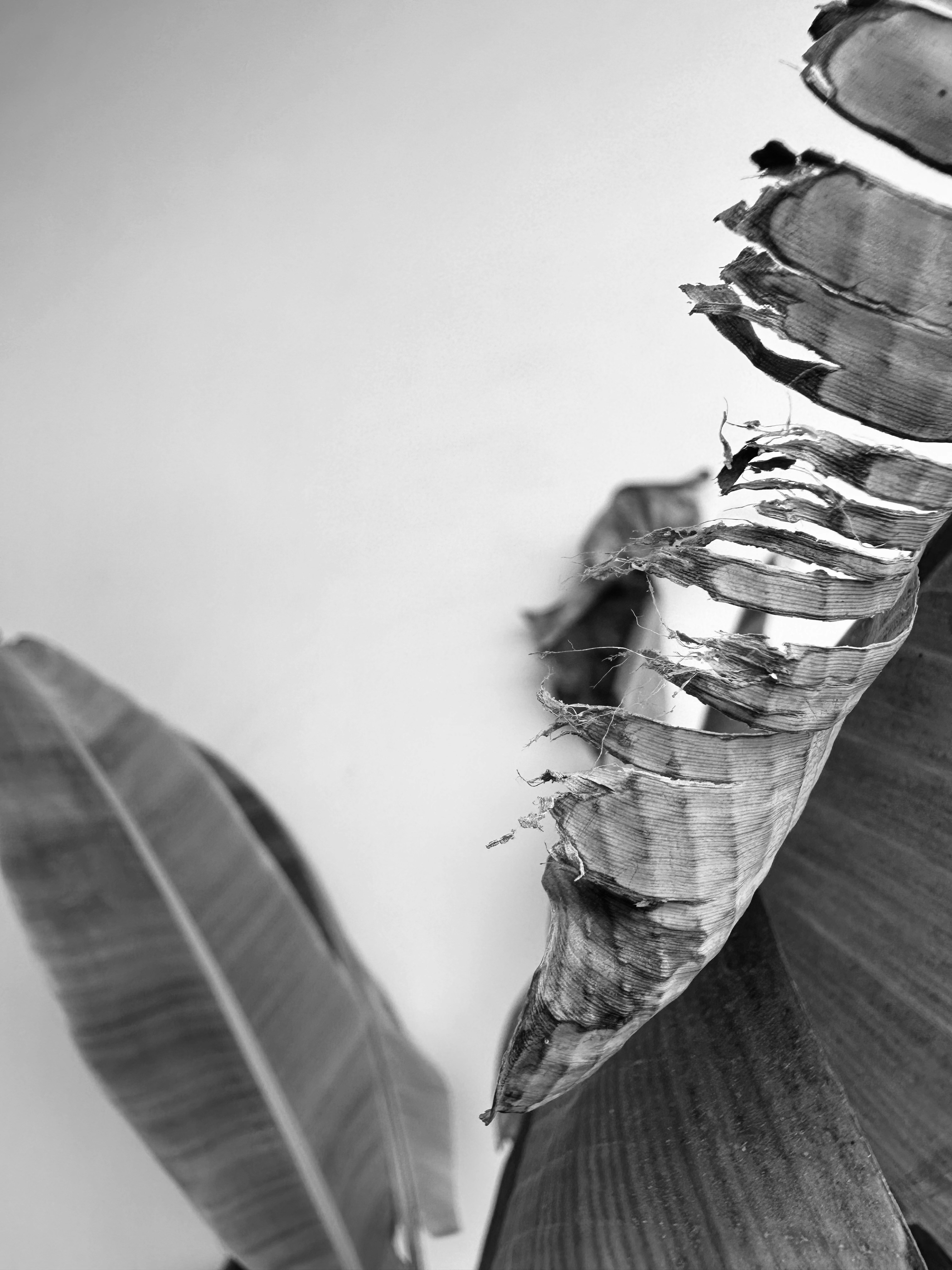 Photo by neelakshi_singh_