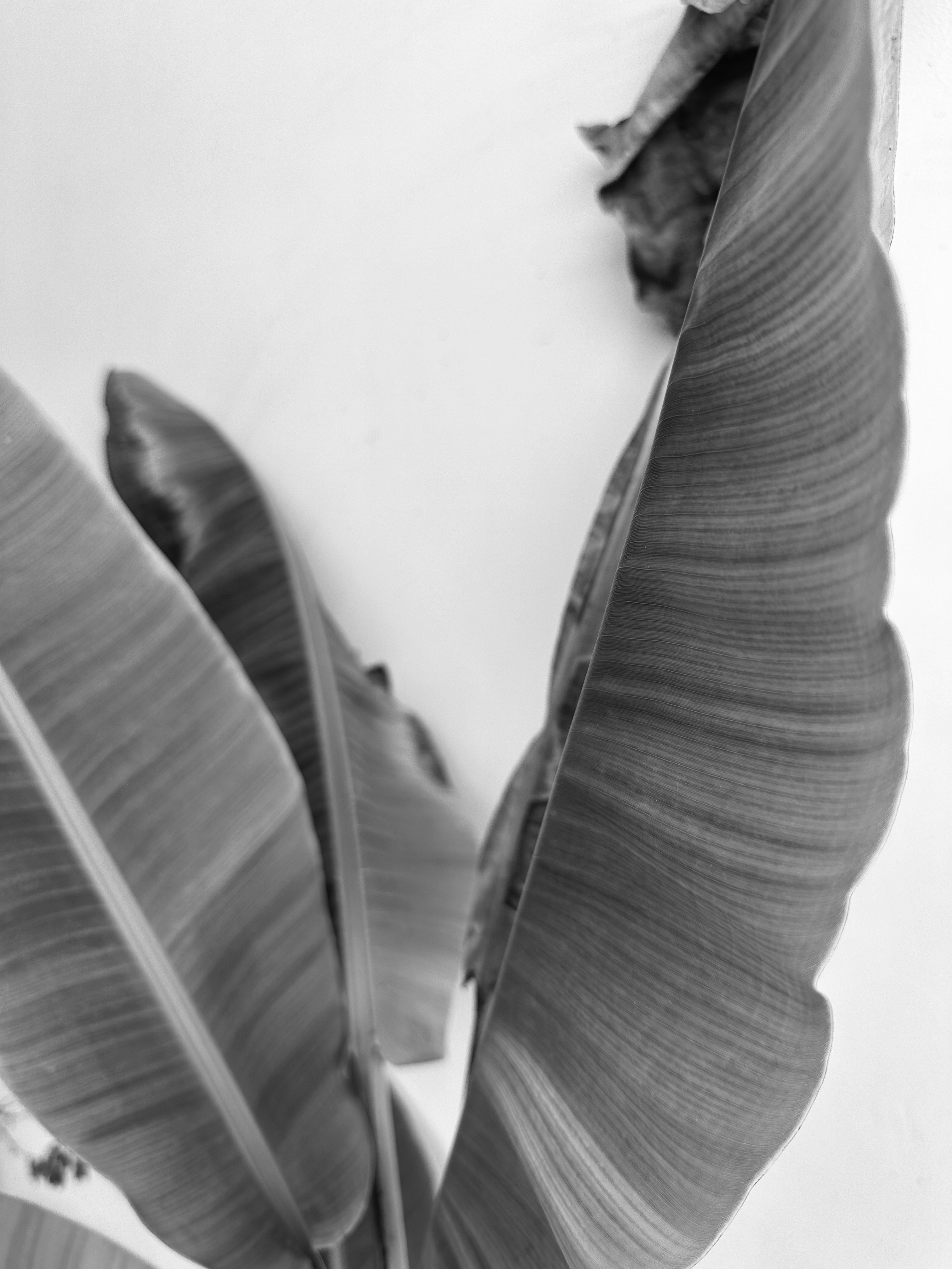 Photo by neelakshi_singh_