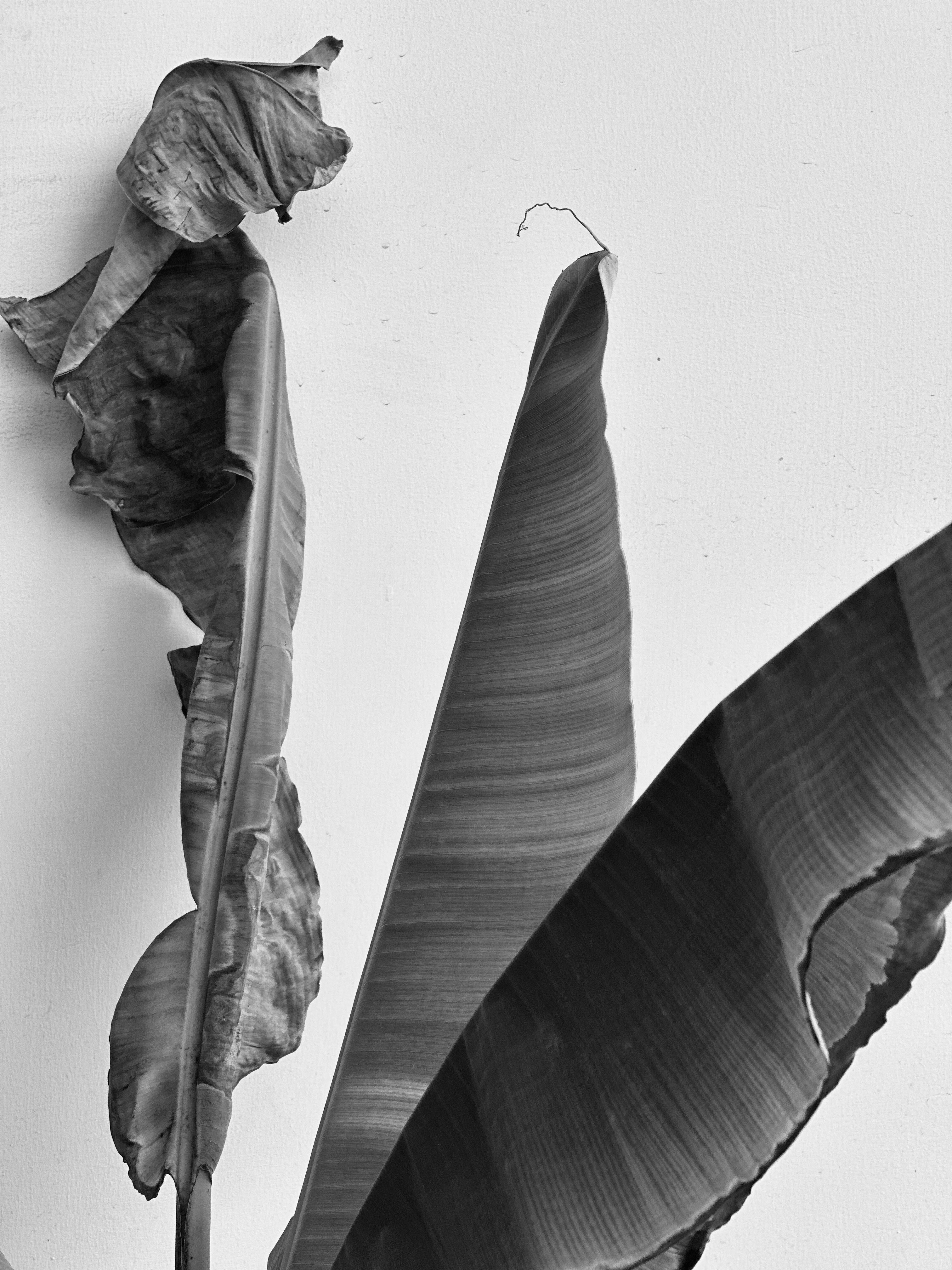 Photo by neelakshi_singh_