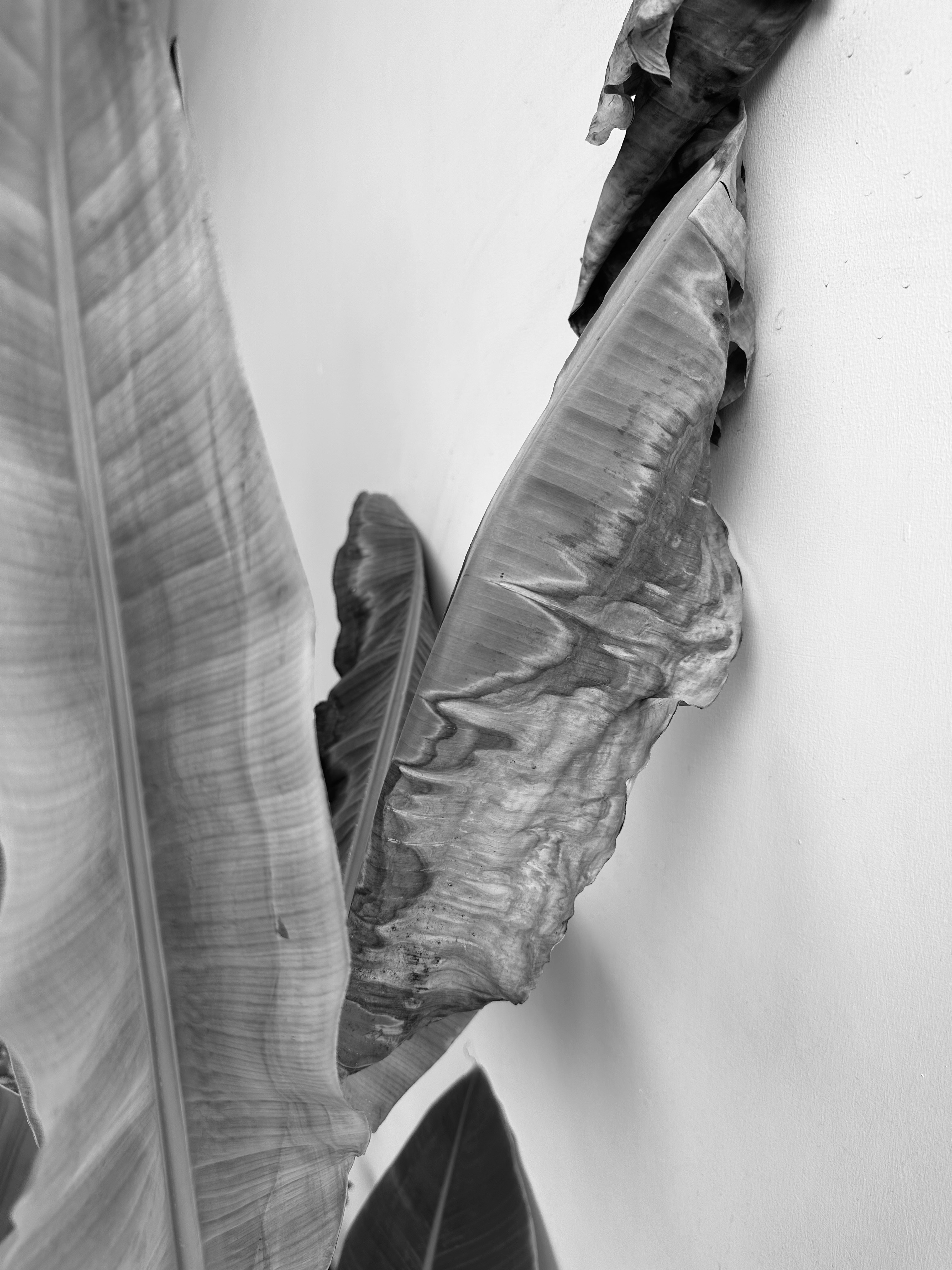 Photo by neelakshi_singh_