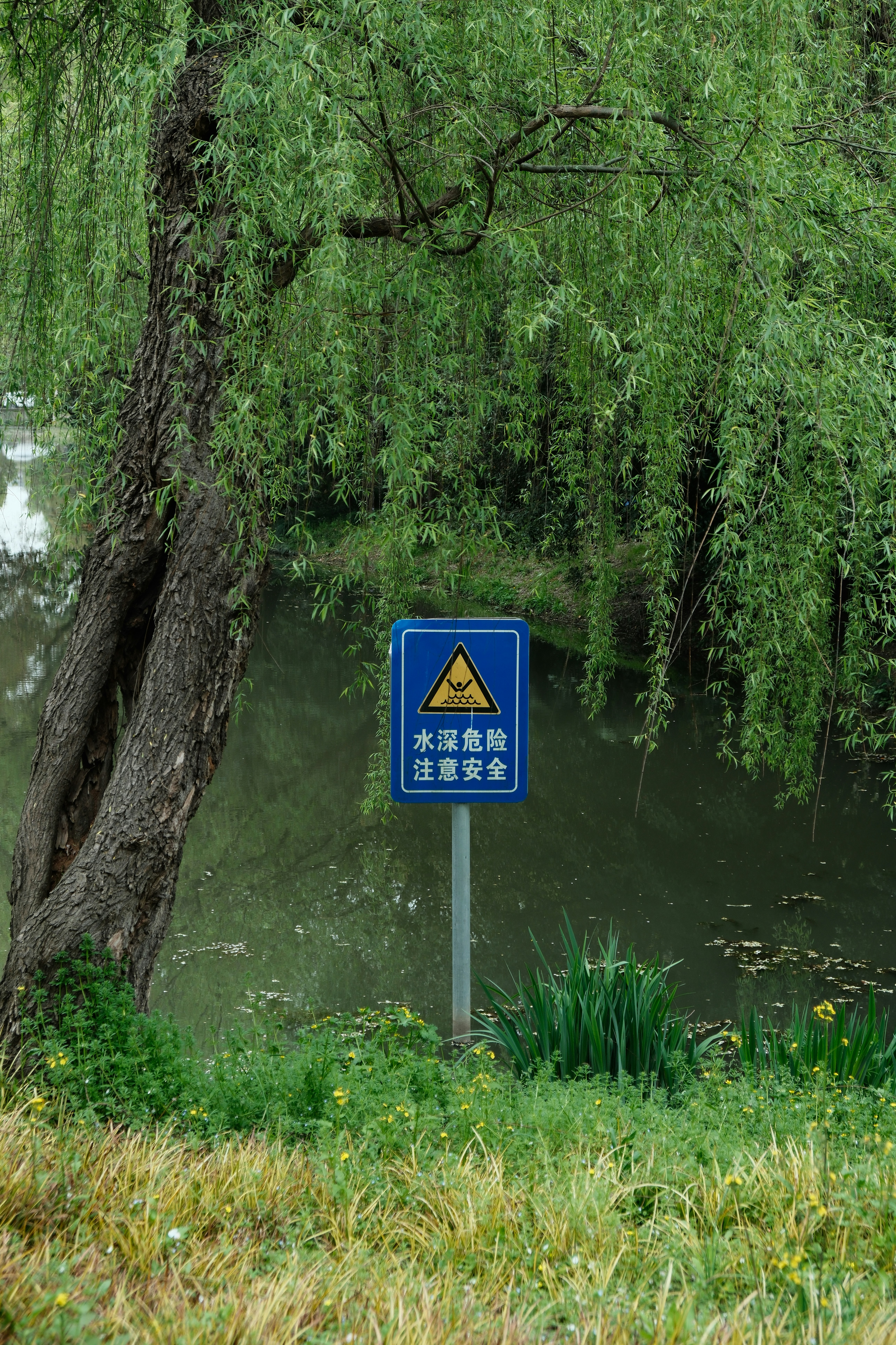 A blue sign sitting on the side of a river photo – Free Tree Image on ...