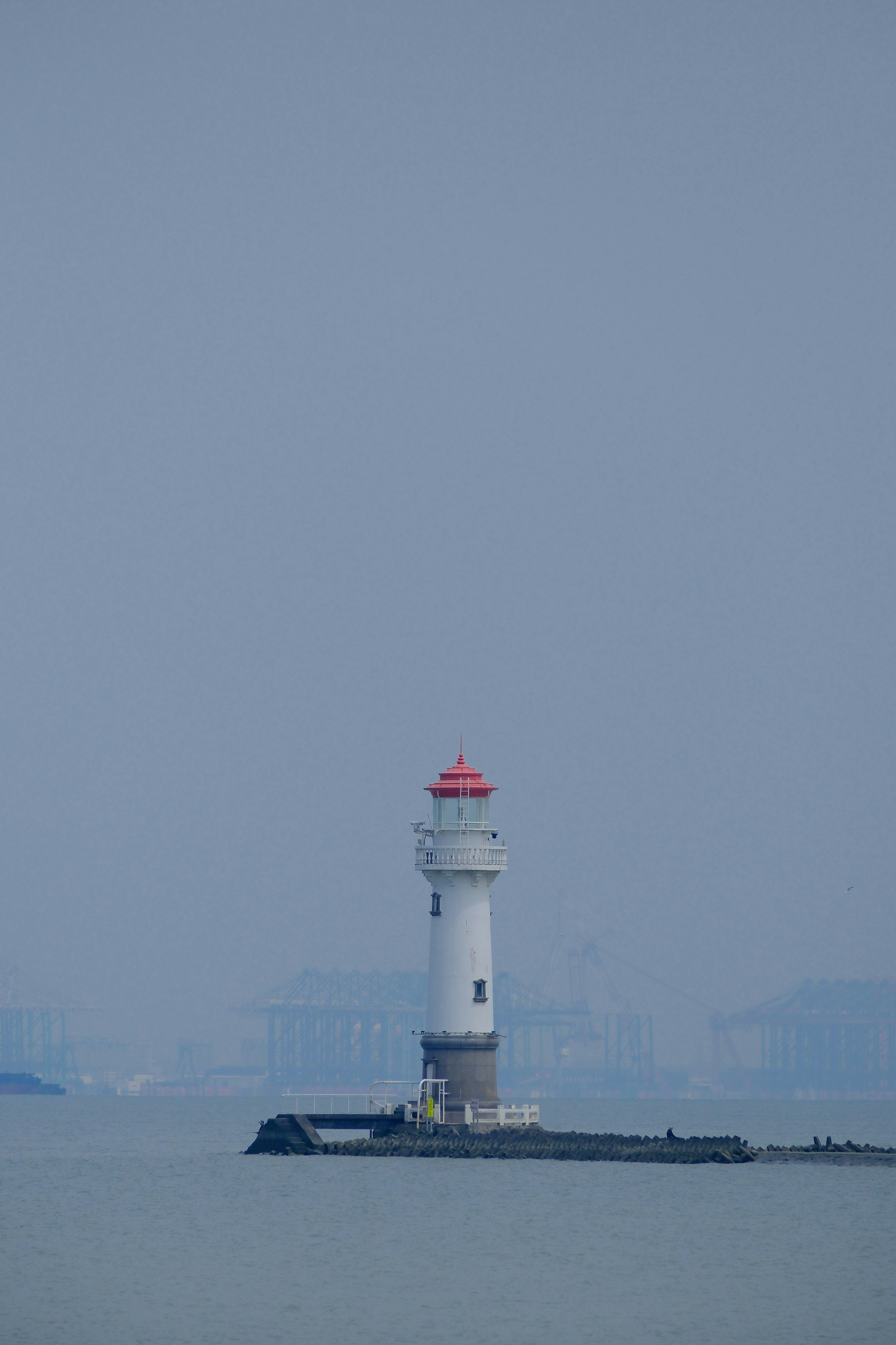 Photo by haoli