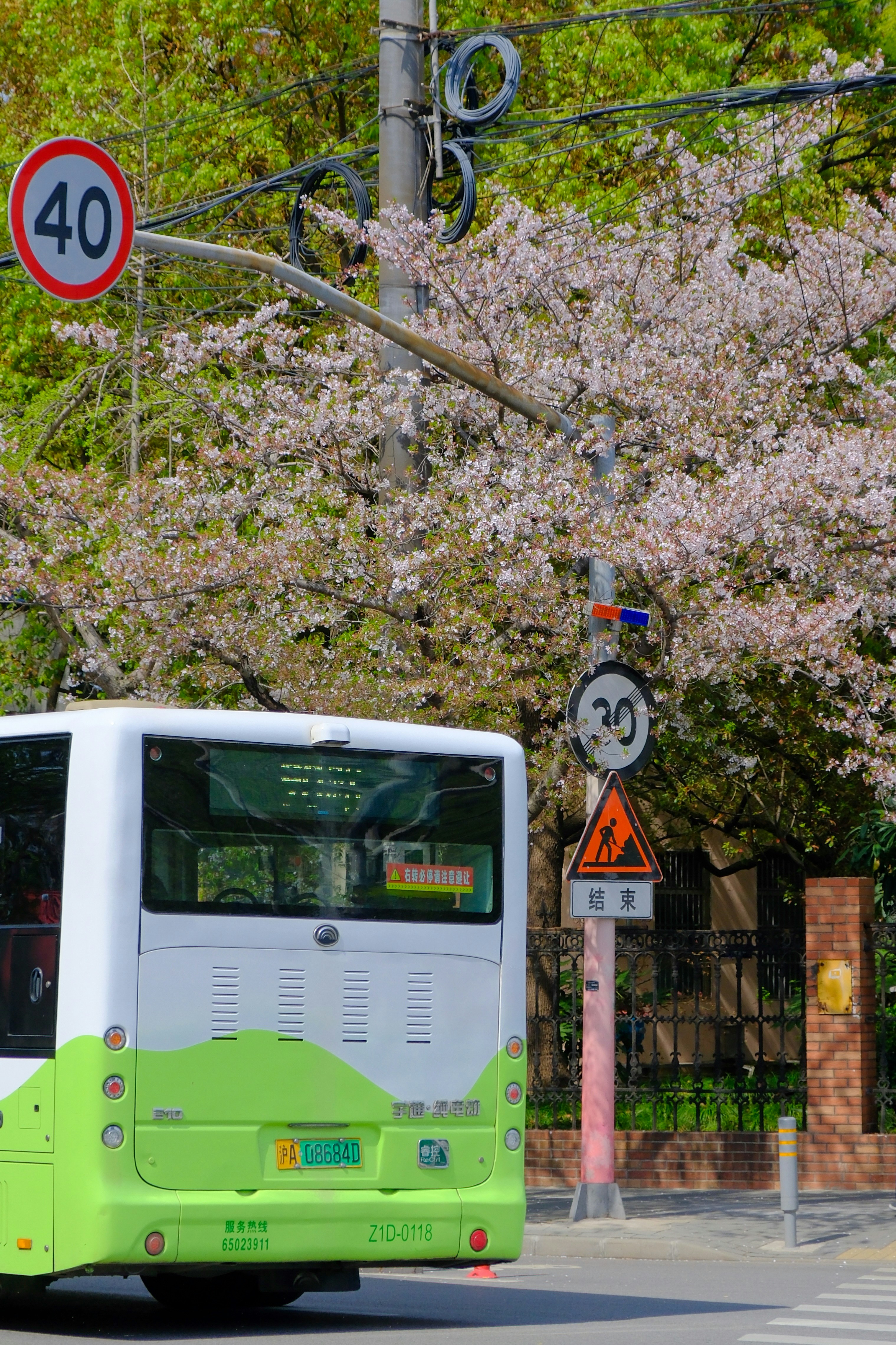 Photo by haoli
