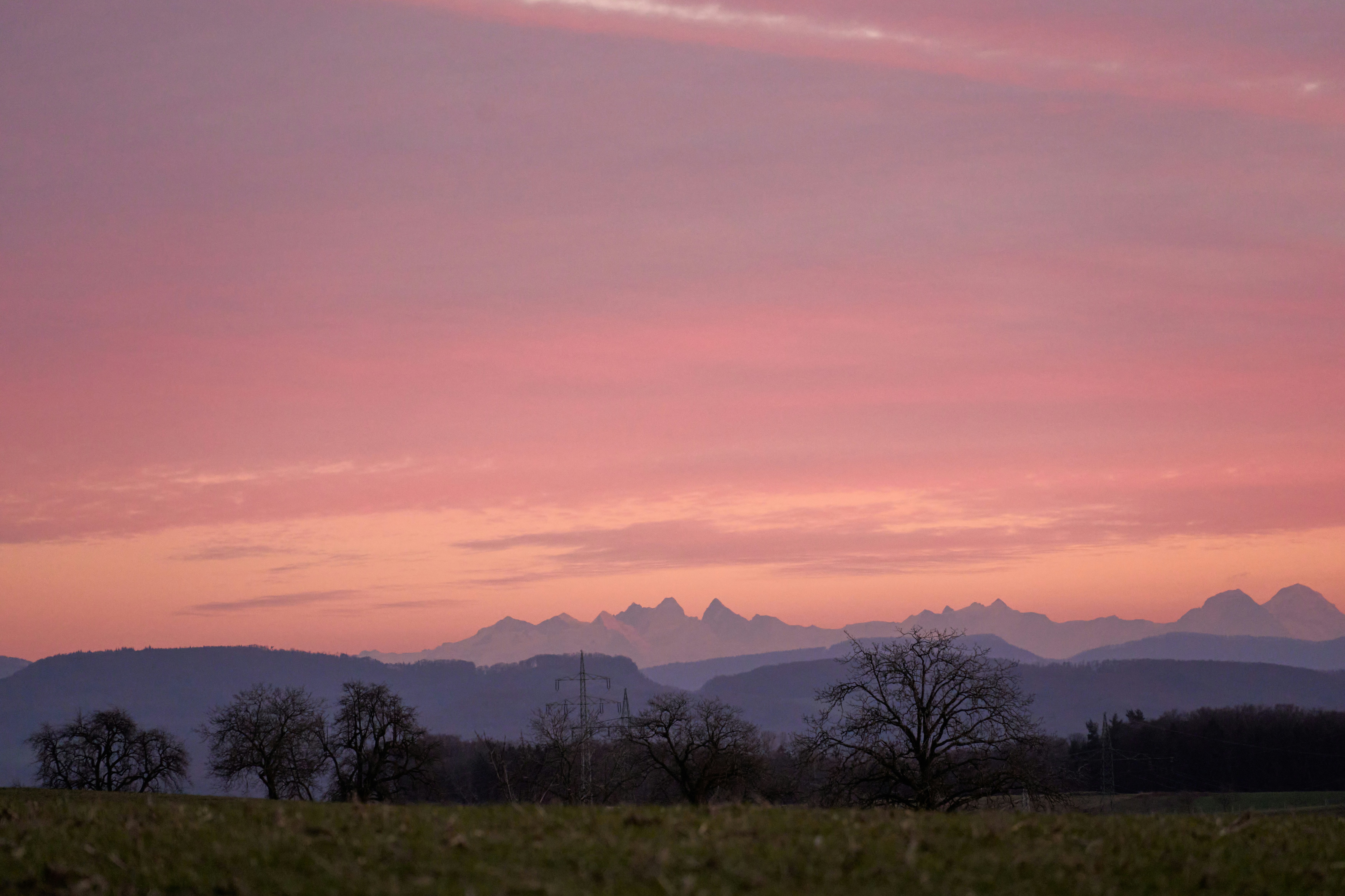 Photo by wolfgang_hasselmann