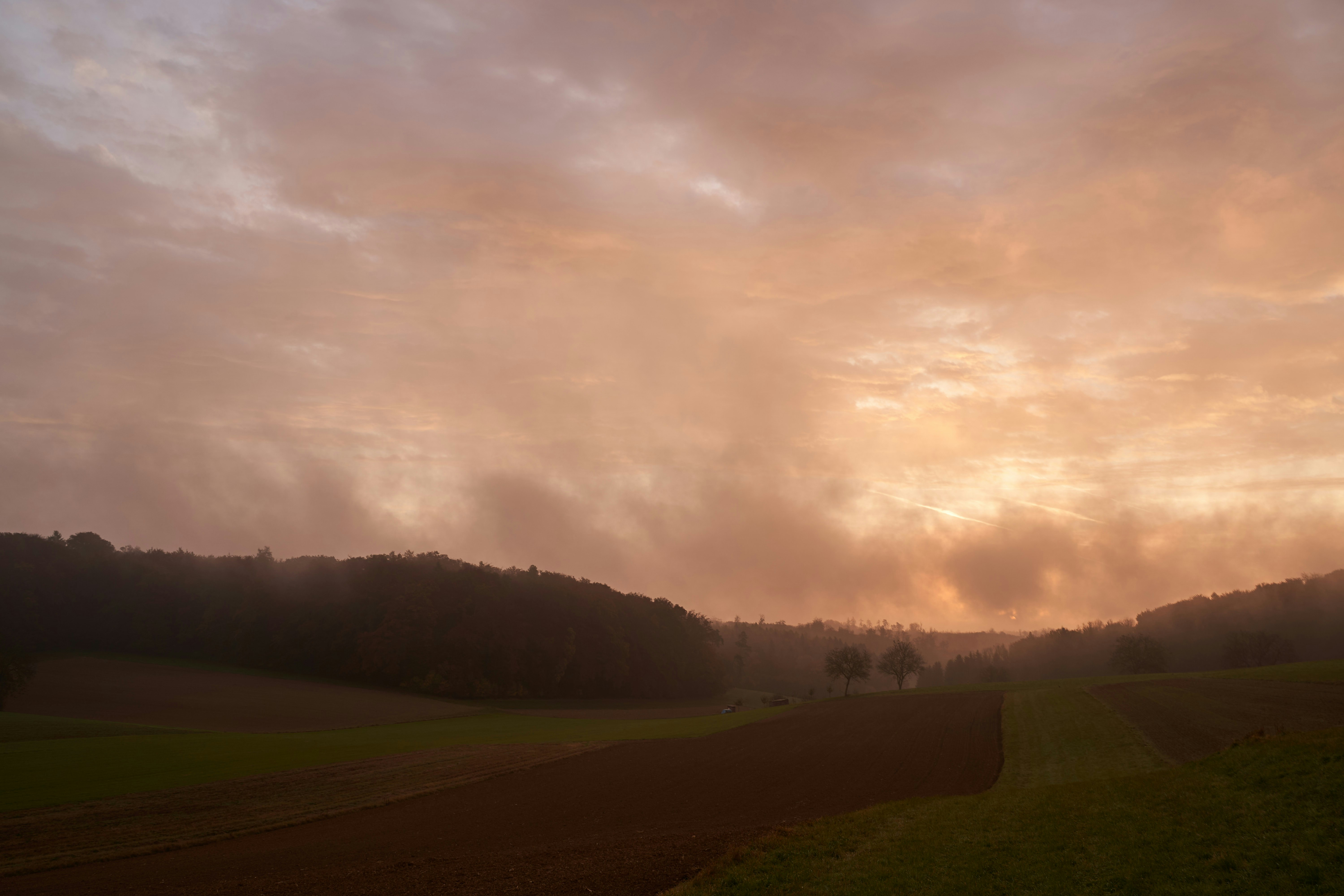 Photo by wolfgang_hasselmann