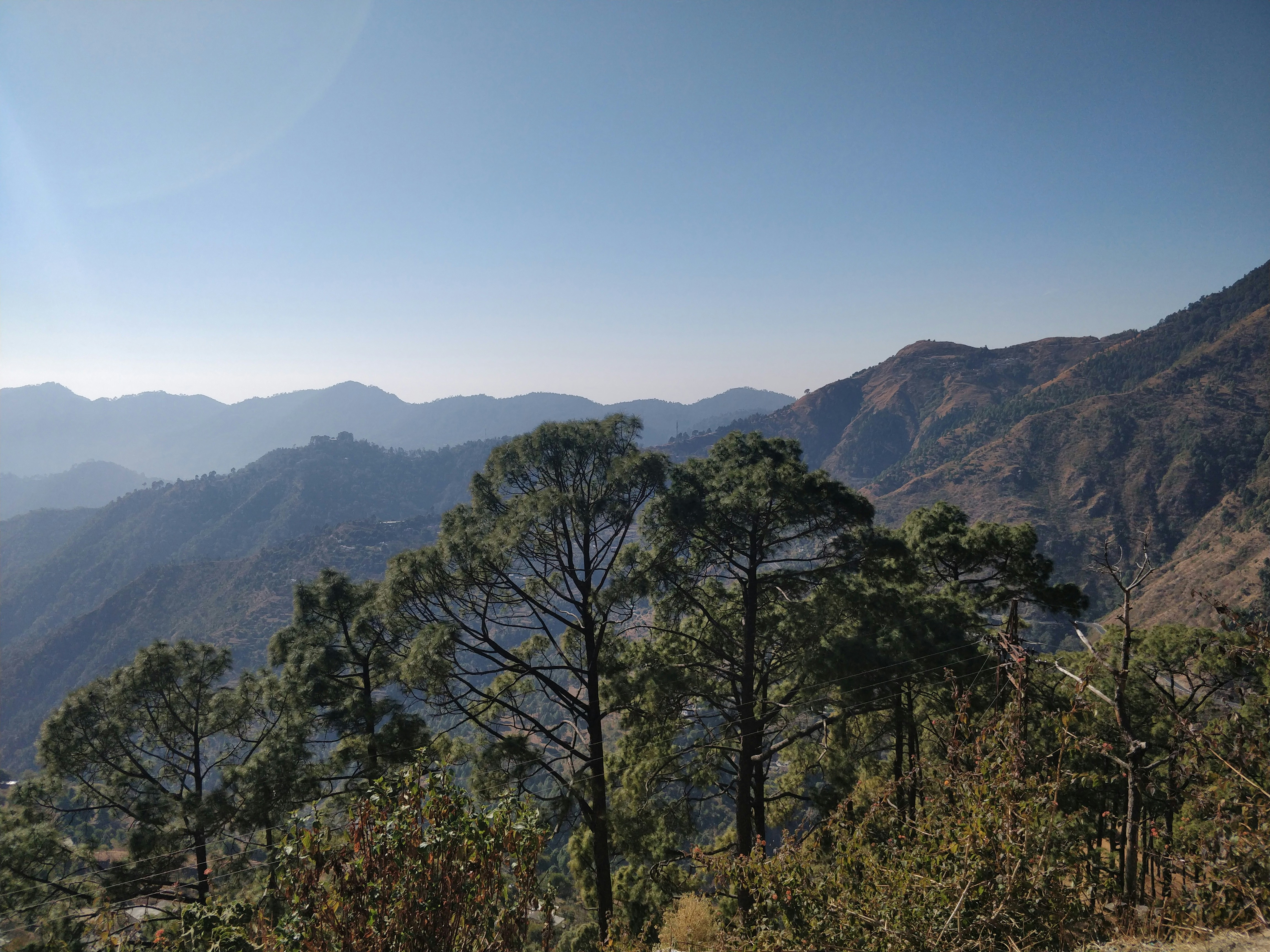 Photo by freebiesmockup