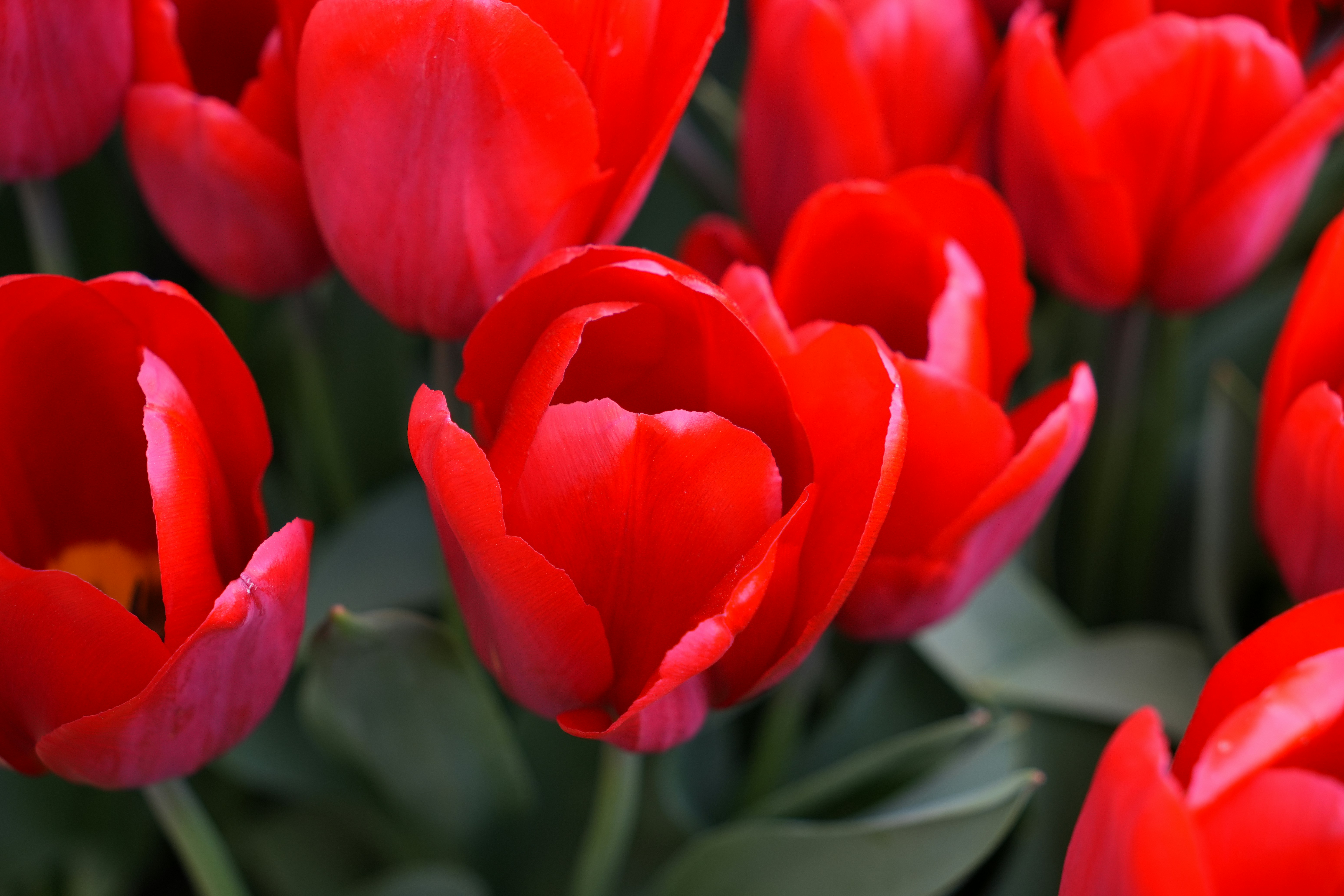 Photo by dm8ryphotos