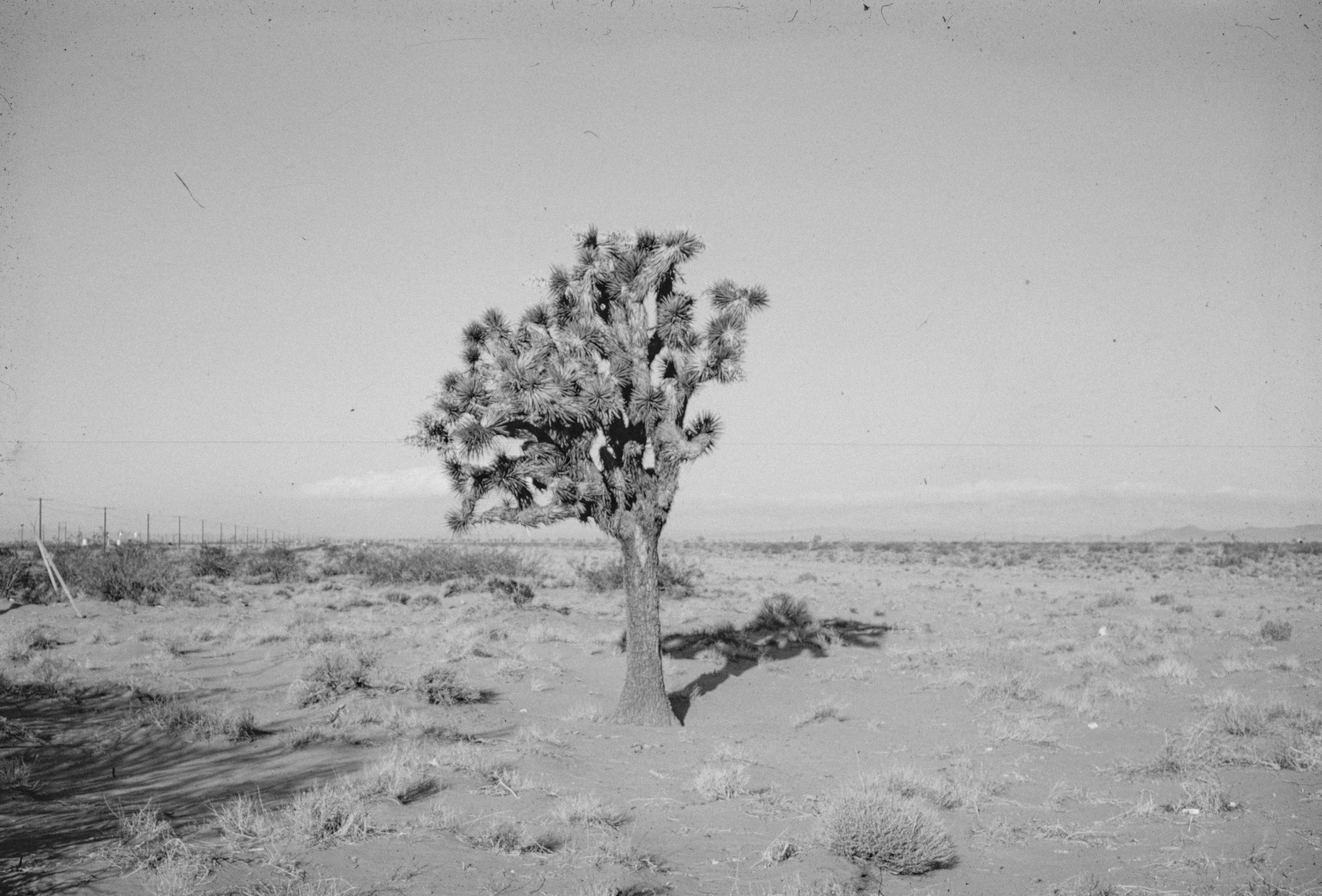 Photo by anniespratt