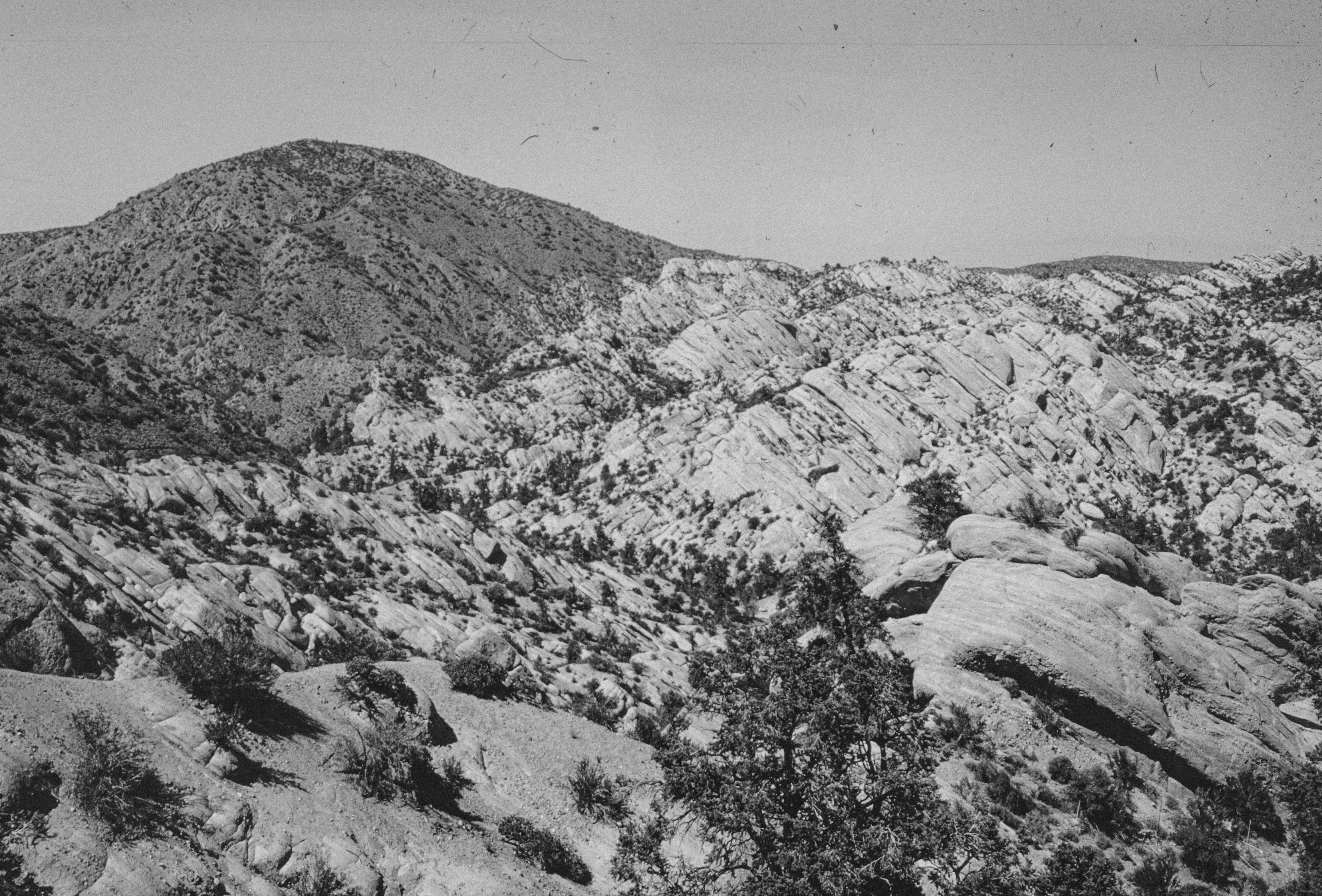 Photo by anniespratt