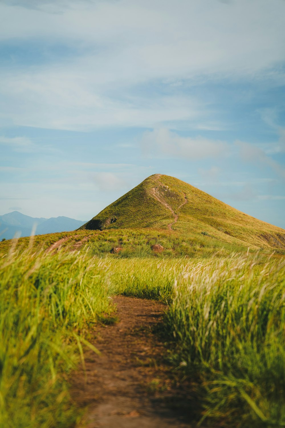 a grassy hill with a dirt path leading to it