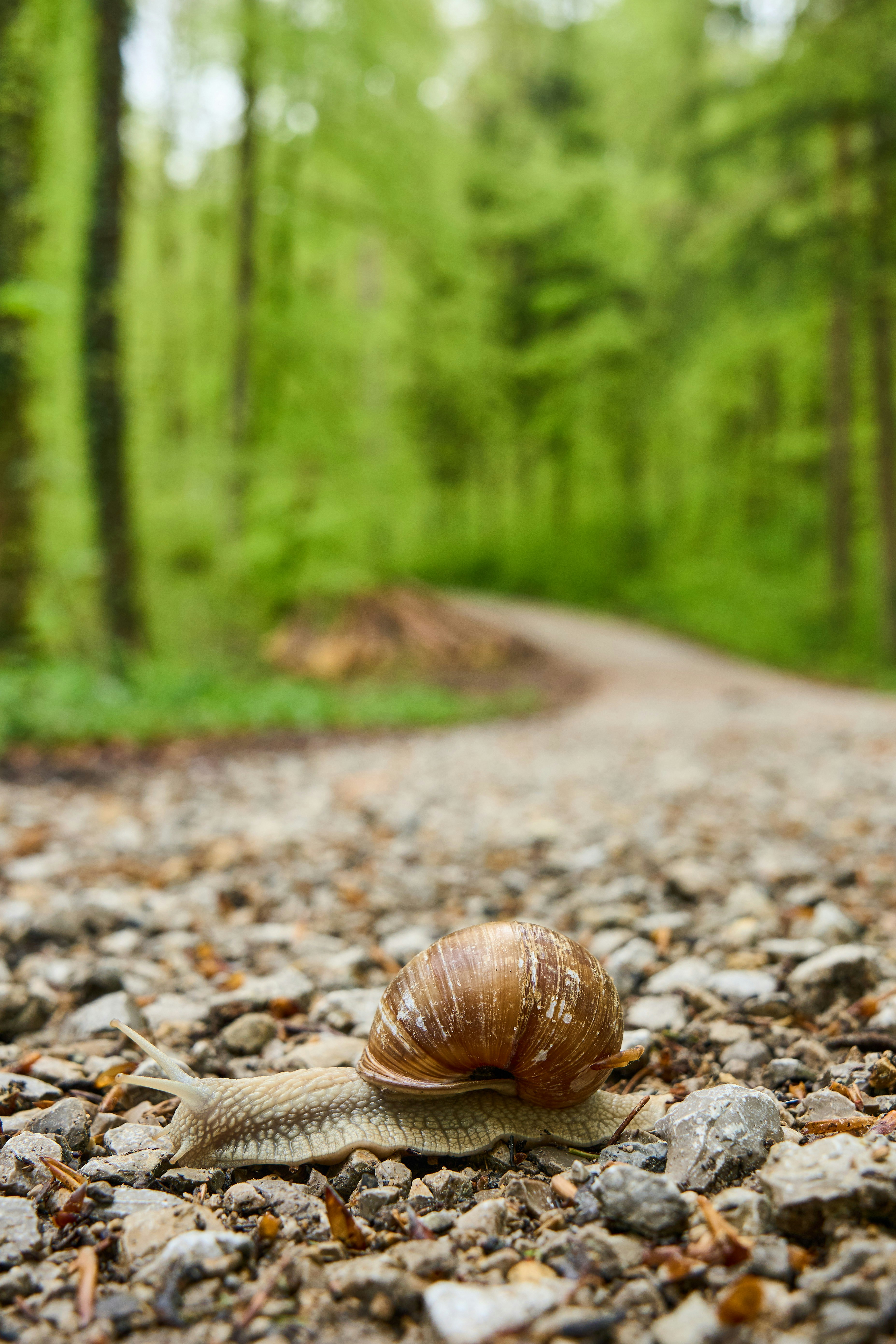 Photo by wolfgang_hasselmann