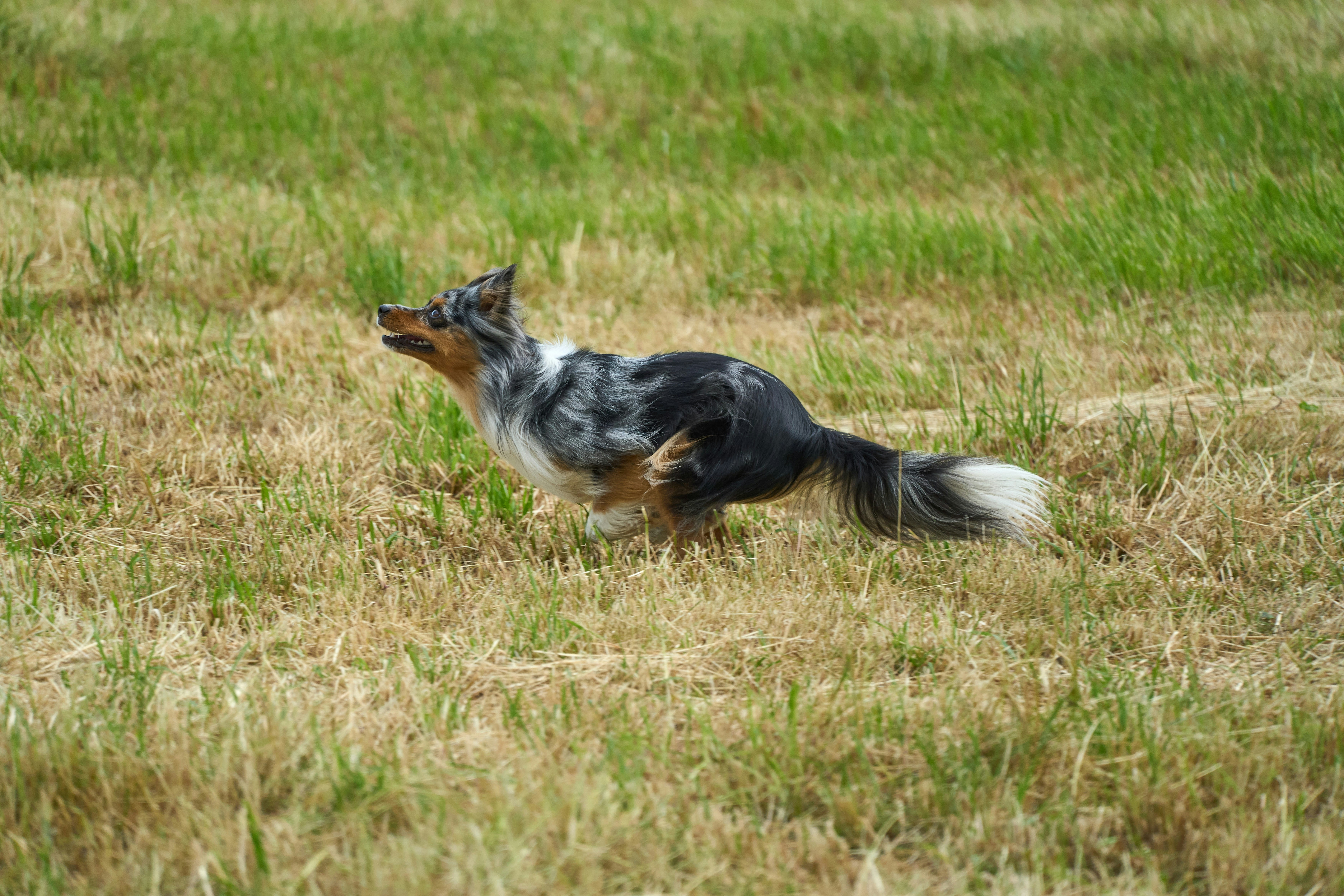 Photo by wolfgang_hasselmann