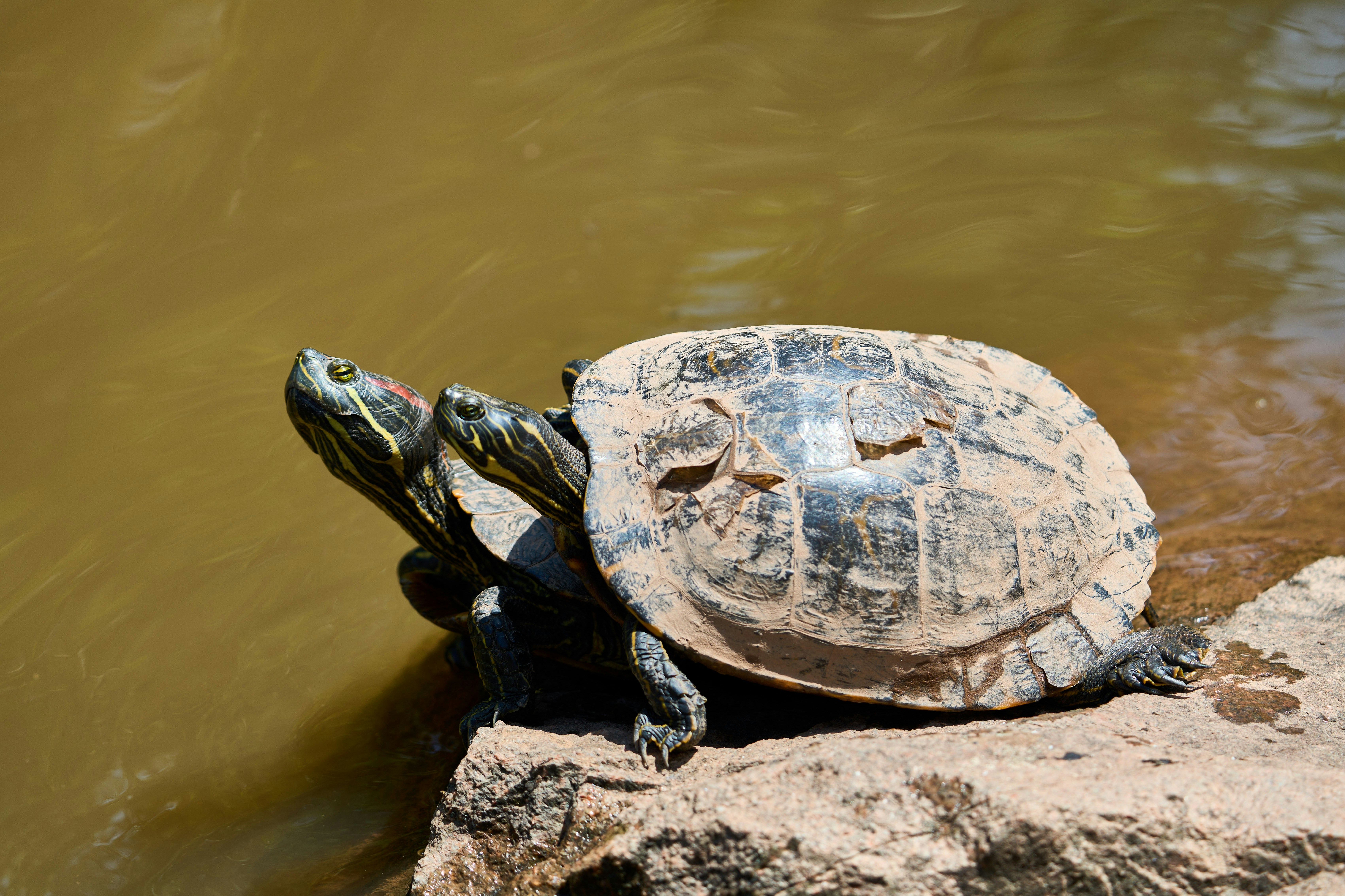 Photo by wolfgang_hasselmann