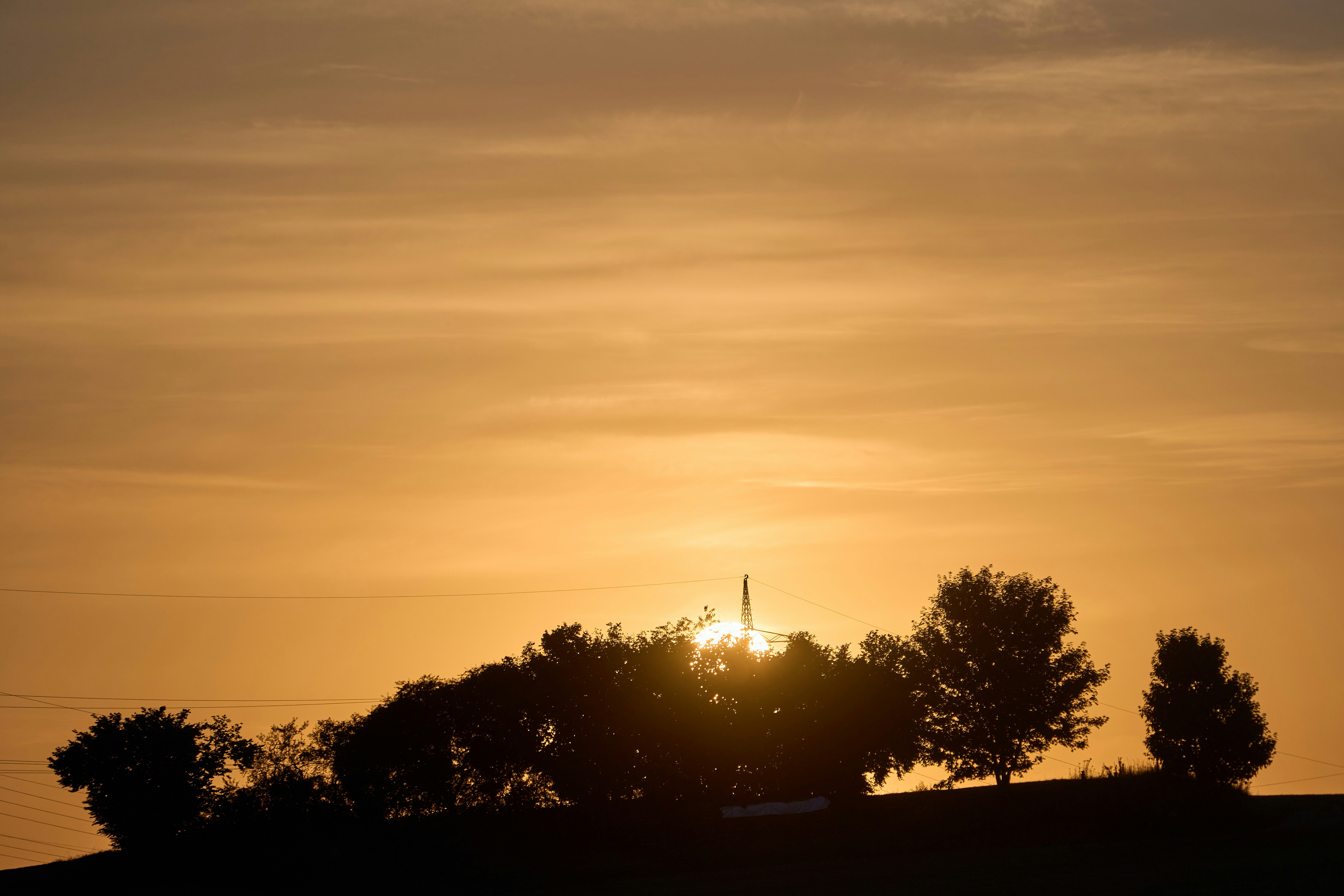 Photo by wolfgang_hasselmann