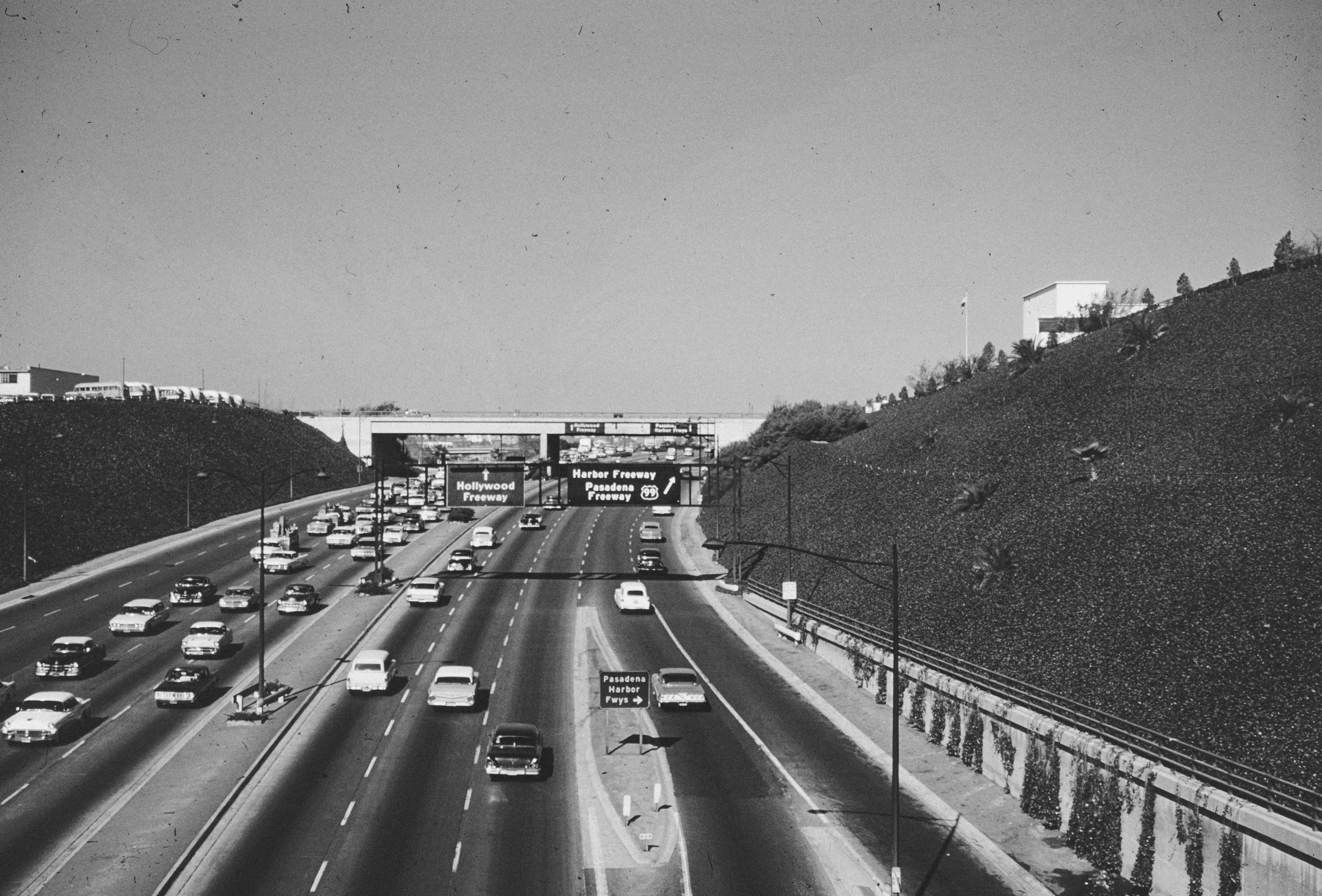 Photo by anniespratt