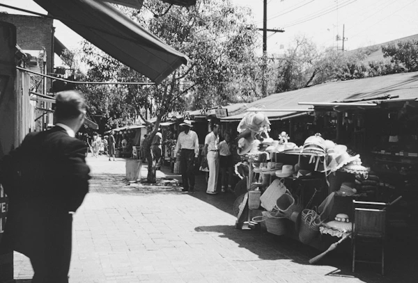 Botánica Frogtown